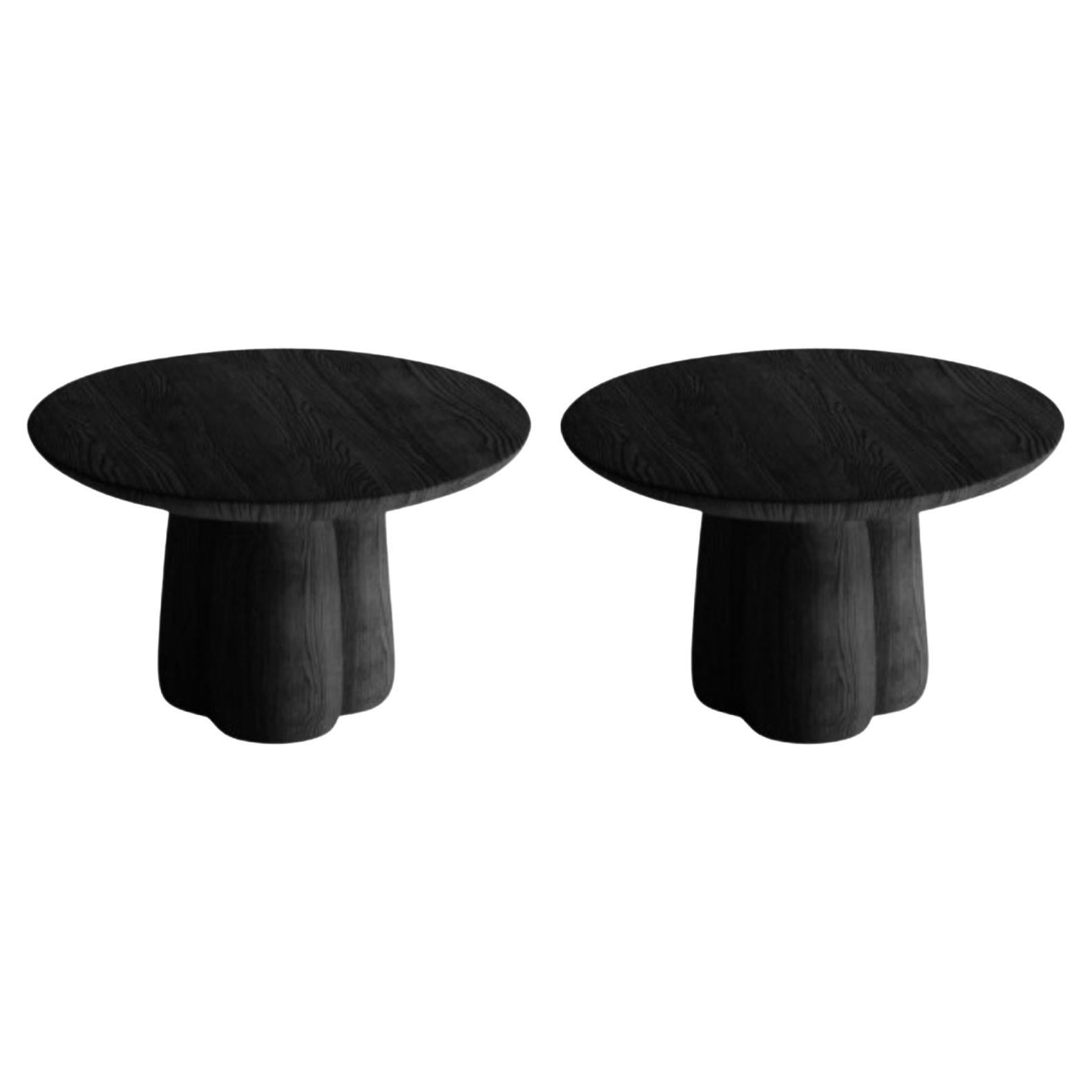 Set of 2 Low Coffee Tables by Faina For Sale