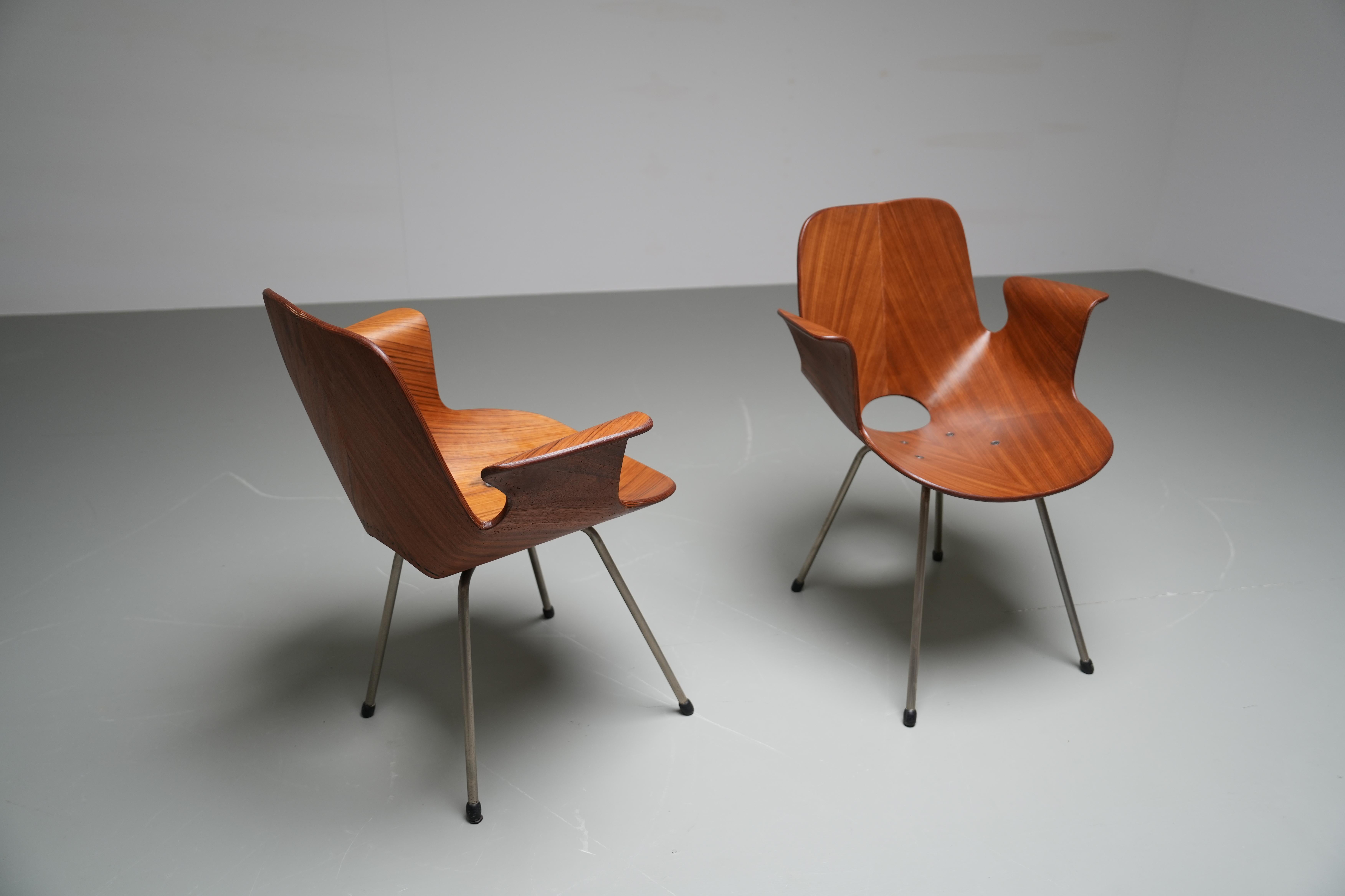 Set of 2 Medea Armchairs by Vittorio Nobili for Fratelli Tagliabue, Italy, 1955 For Sale 3