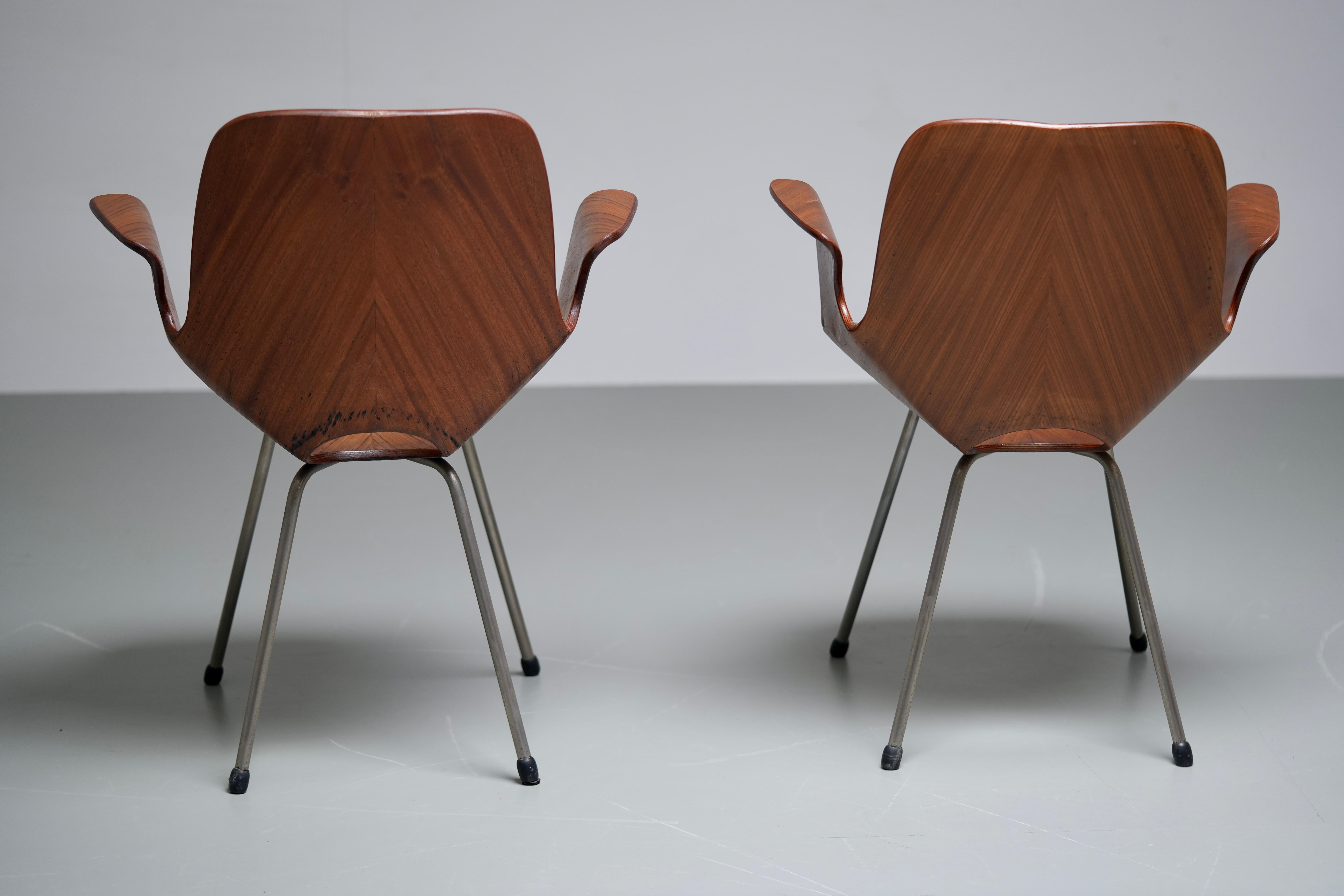 Set of 2 Medea Armchairs by Vittorio Nobili for Fratelli Tagliabue, Italy, 1955 For Sale 1