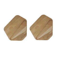 Set of 2 Medium Tidal Pool Trays by Hollis & Morris