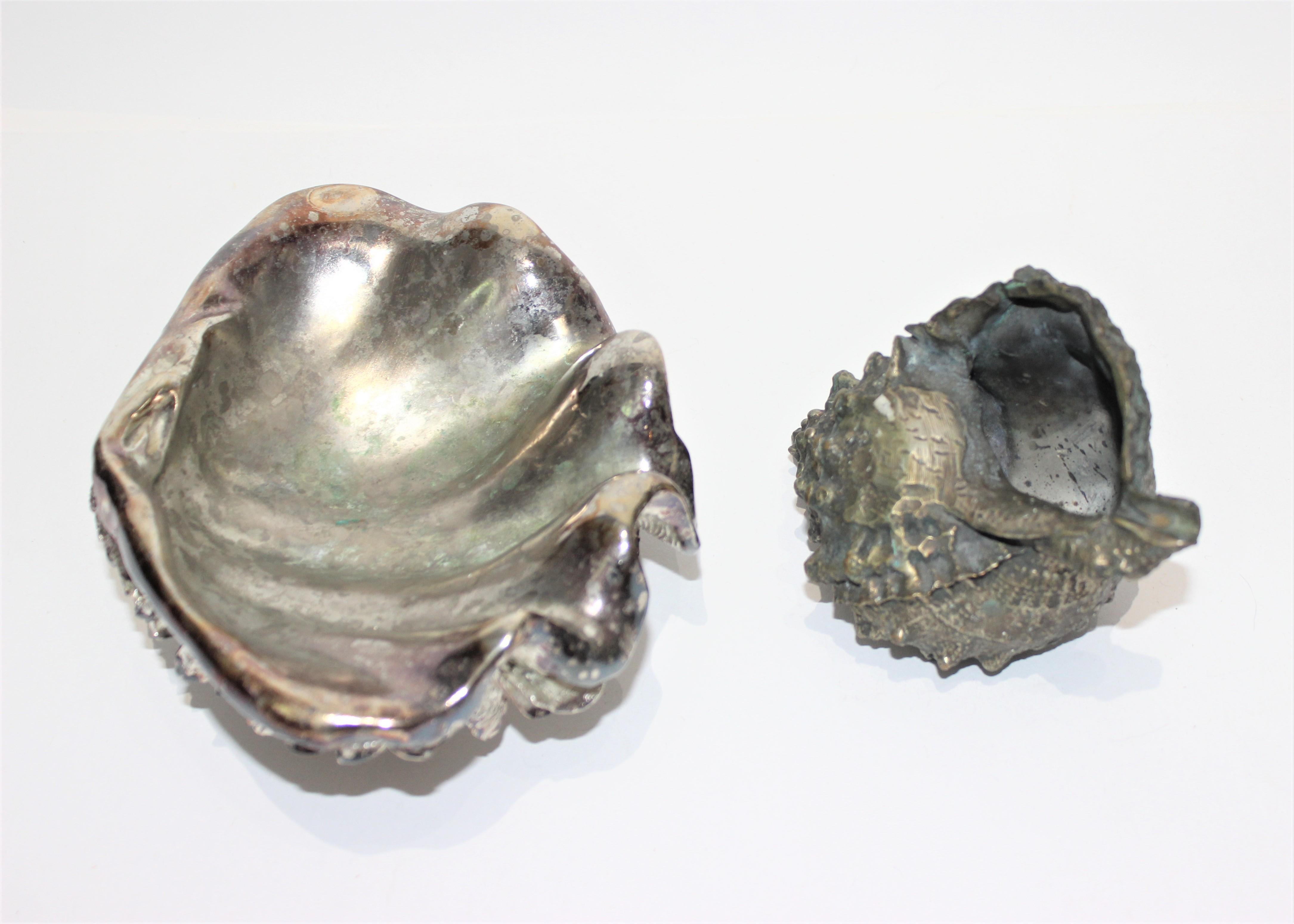 Organic Modern Set of 2 Shell Sculptures