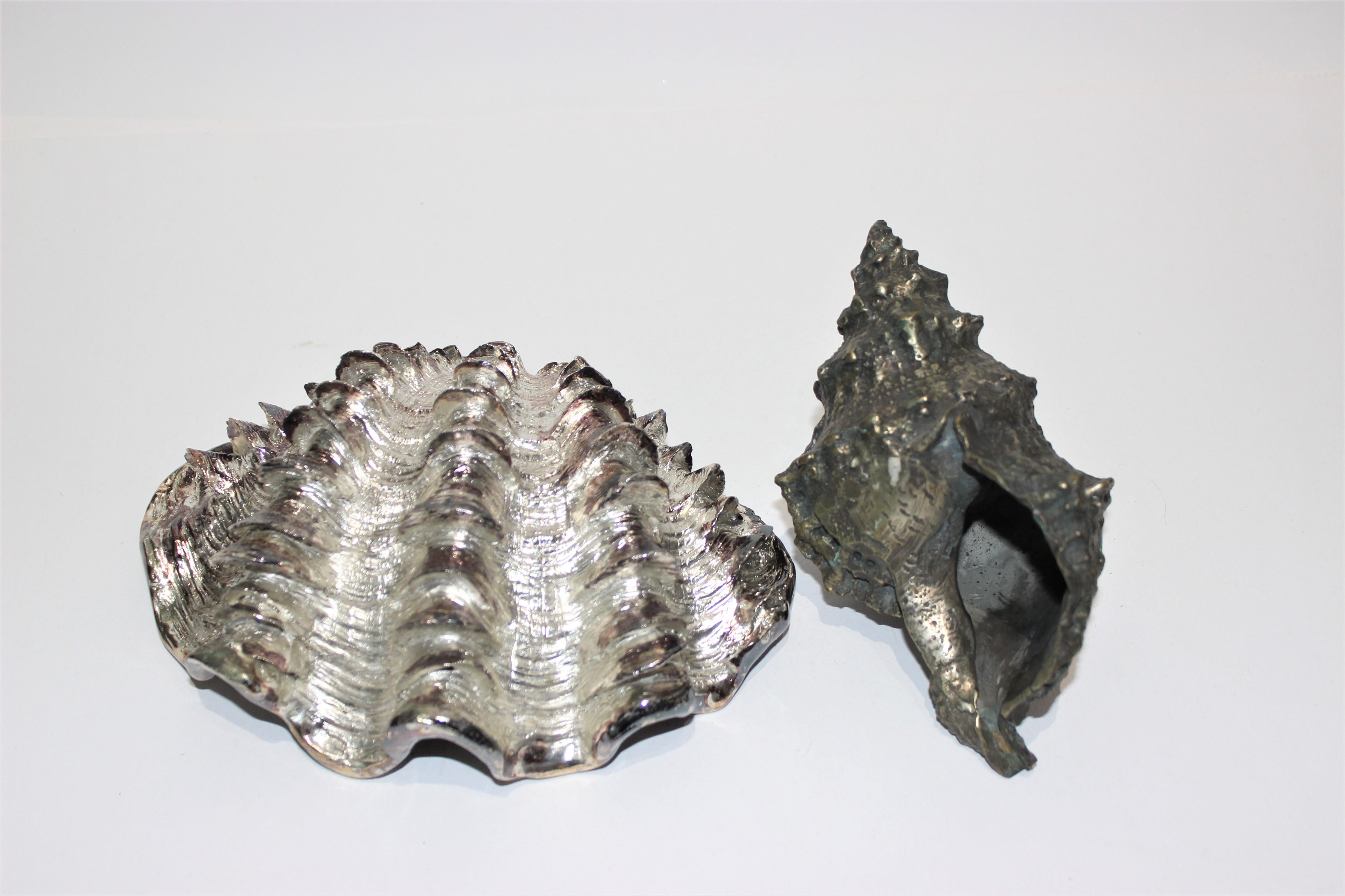 Set of 2 Shell Sculptures In Good Condition In West Palm Beach, FL