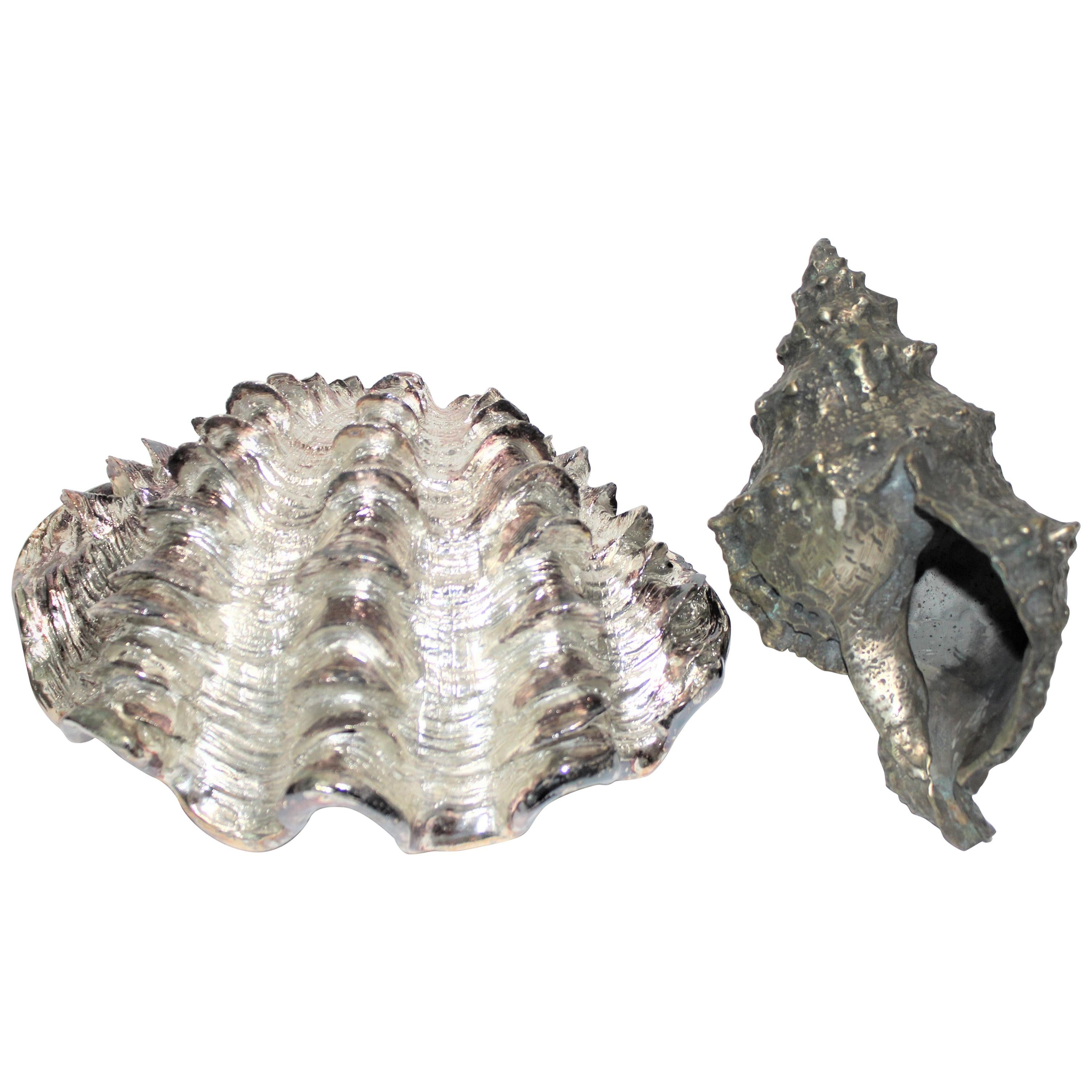 Set of 2 Shell Sculptures