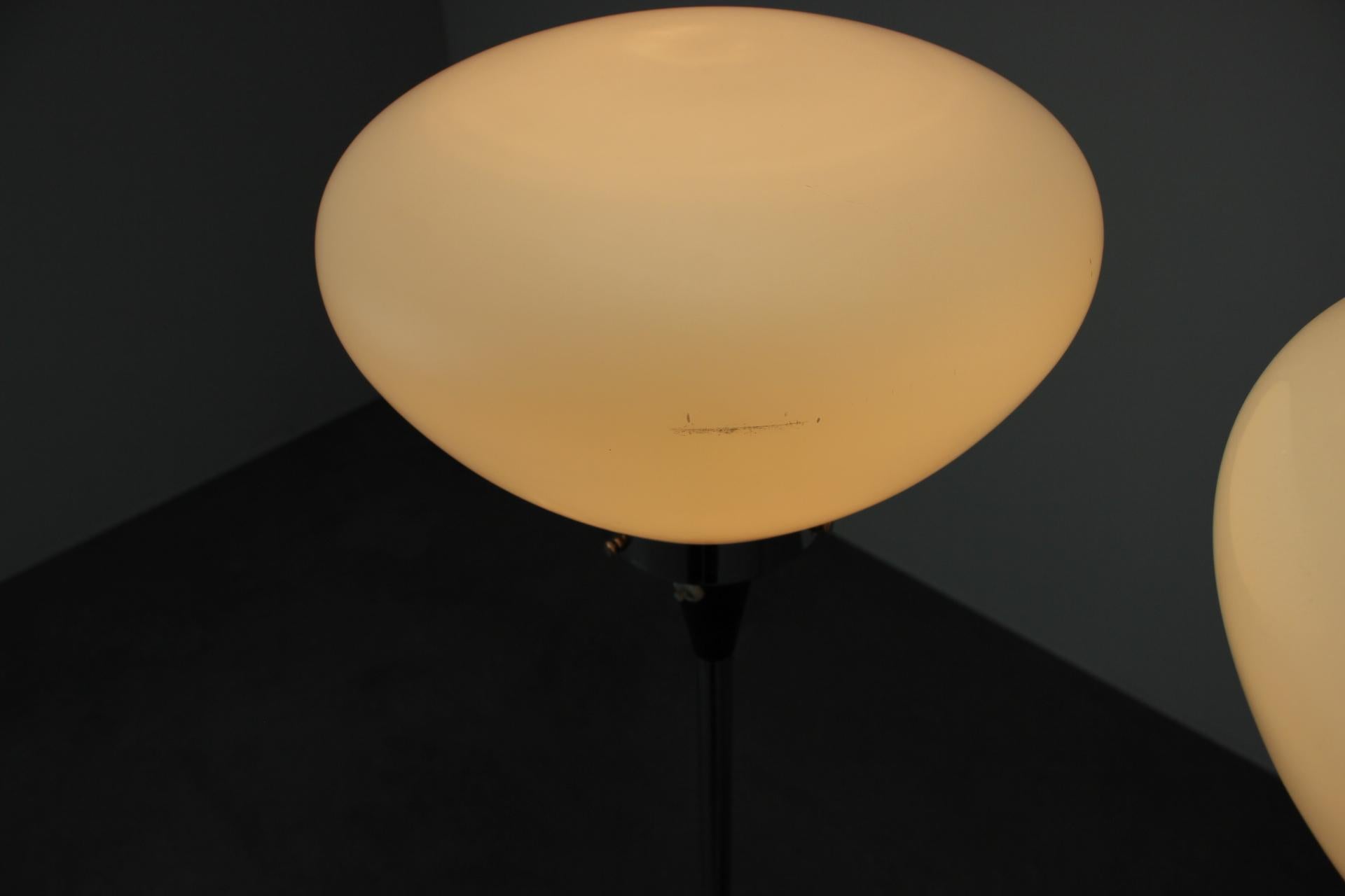 Set di 2 lampade da terra di metà secolo di J. Bejvl, Cecoslovacchia, anni '60 in vendita 7