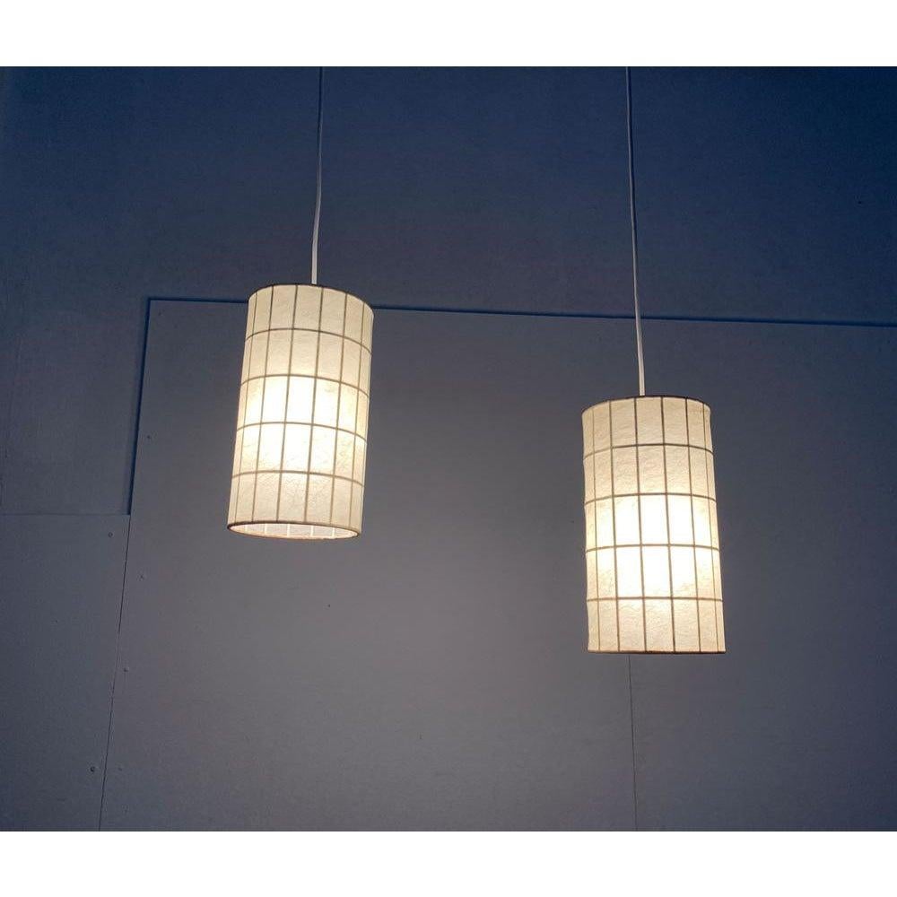 Set di 2 lampade a sospensione Cocoon di Friedel Wauer, anni '60, Germania, metà del secolo scorso in vendita 4