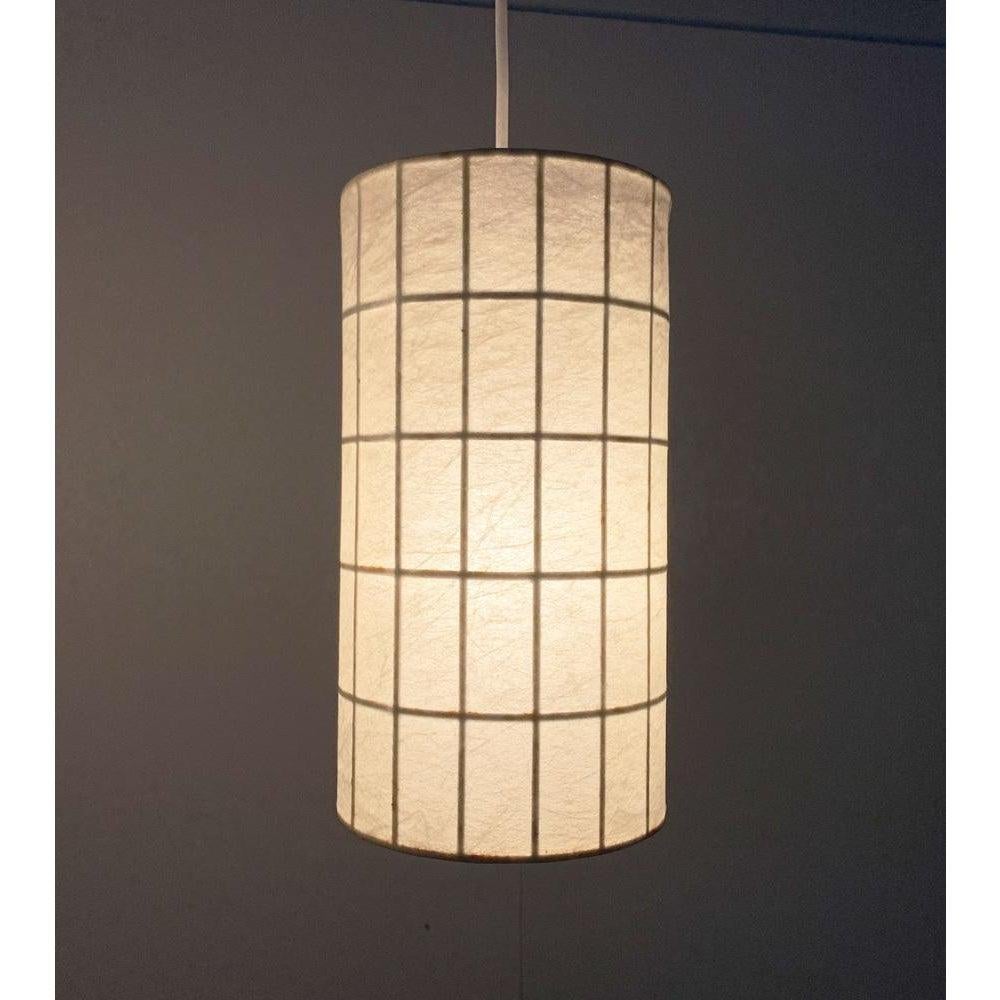 Set di 2 lampade a sospensione Cocoon di Friedel Wauer, anni '60, Germania, metà del secolo scorso in vendita 1