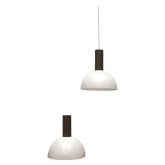 Set of 2 Mid-Century Pendant Lamps from Beisl Leuchten