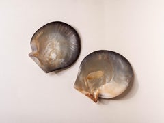 Ensemble de 2 boules de nacre - Bols ou plats décoratifs en coquillage, années 1970