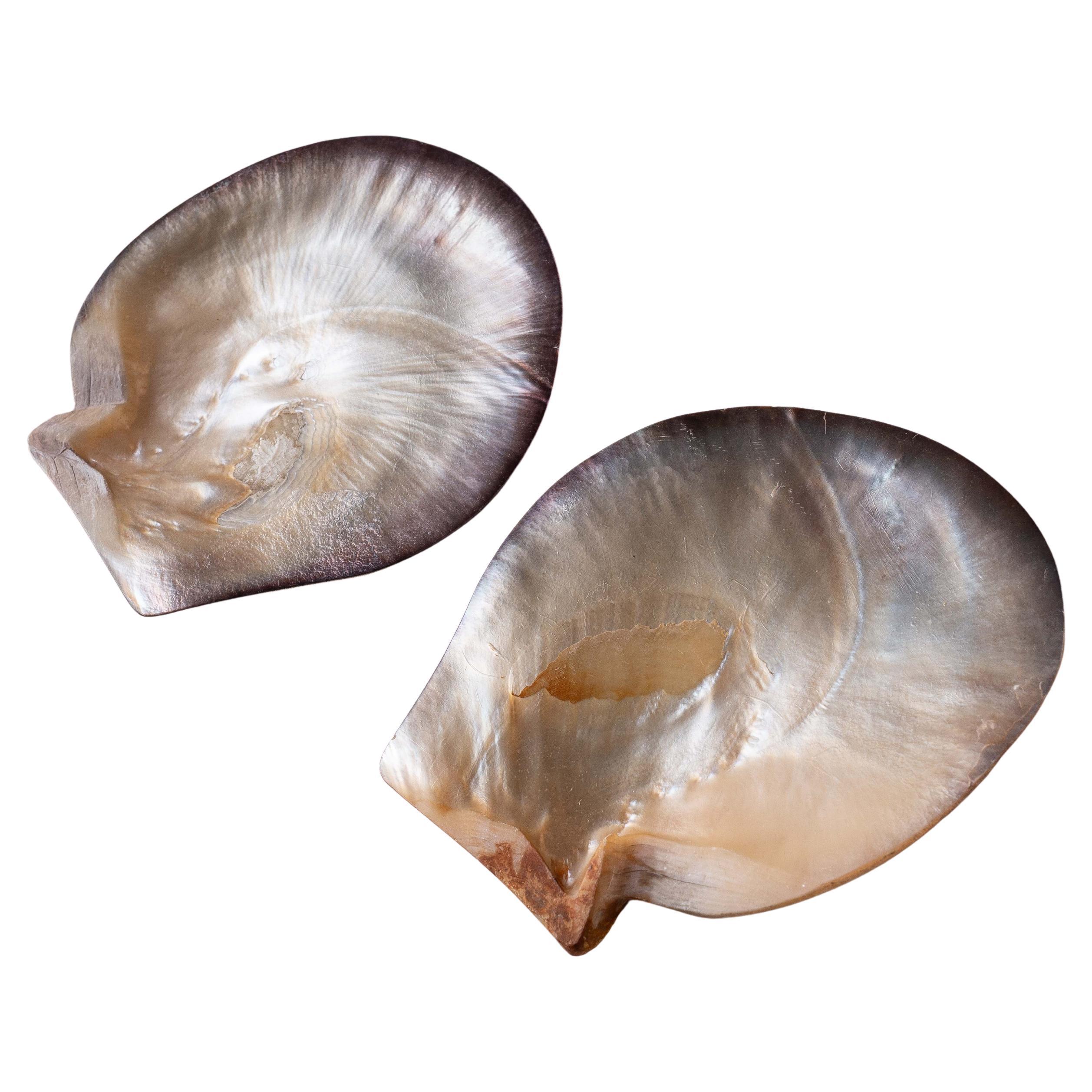 Set of 2 Mother-of-Pearl Catchalls - Decorative Shell Bowls or Dishes, 1970s For Sale