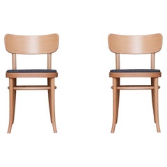 Set of 2 MZO Chairs by Mazo Design