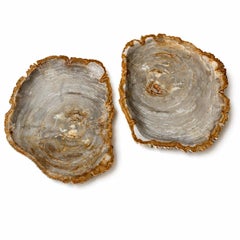 Juego de 2 bandejas de madera petrificada natural de 20"