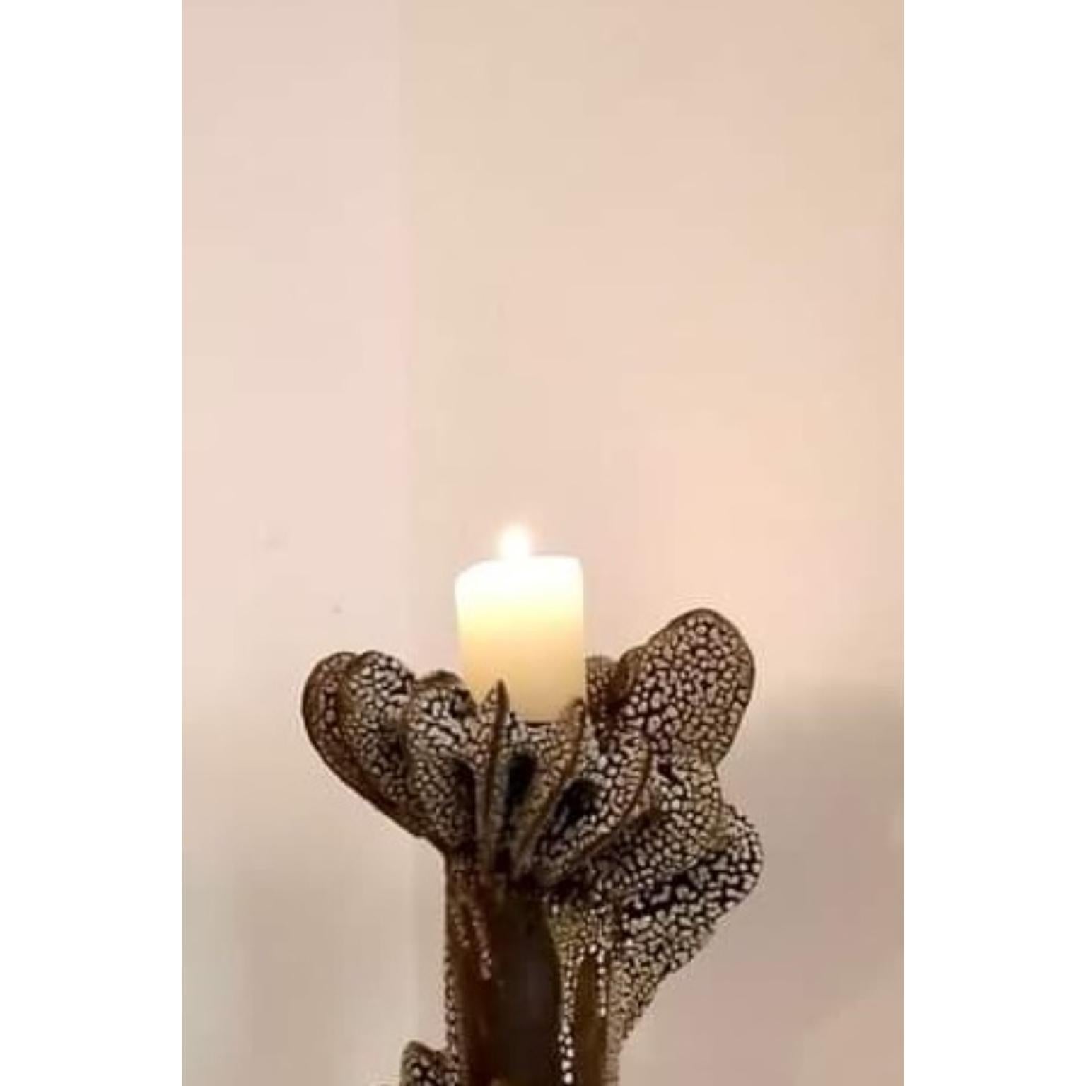 Contemporary Set Of 2 Nautilus Candle Holders in Glazed Black Clay by Kallia Panopoulou For Sale