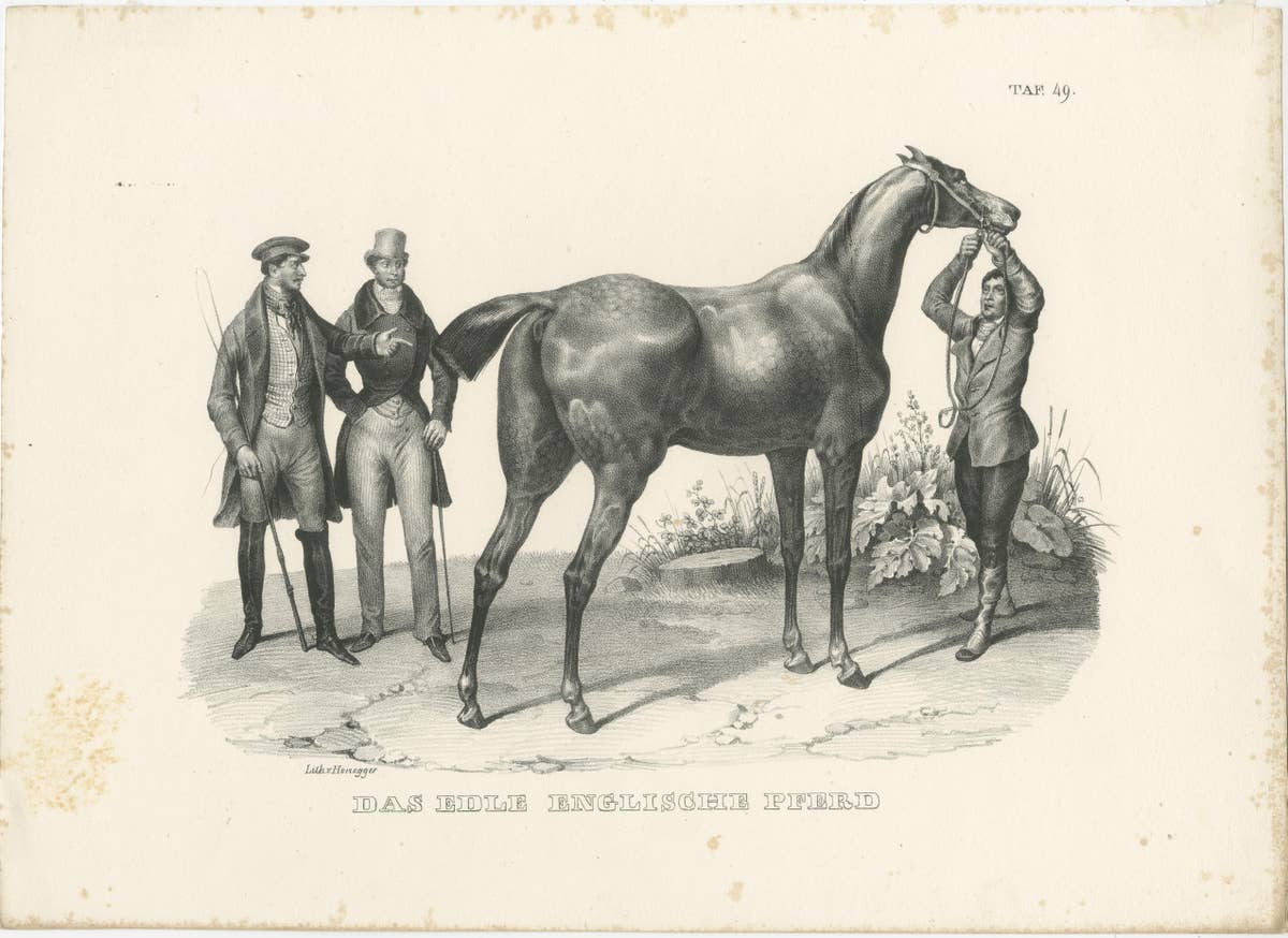 Set of 2 Original Antique Prints of English Horses