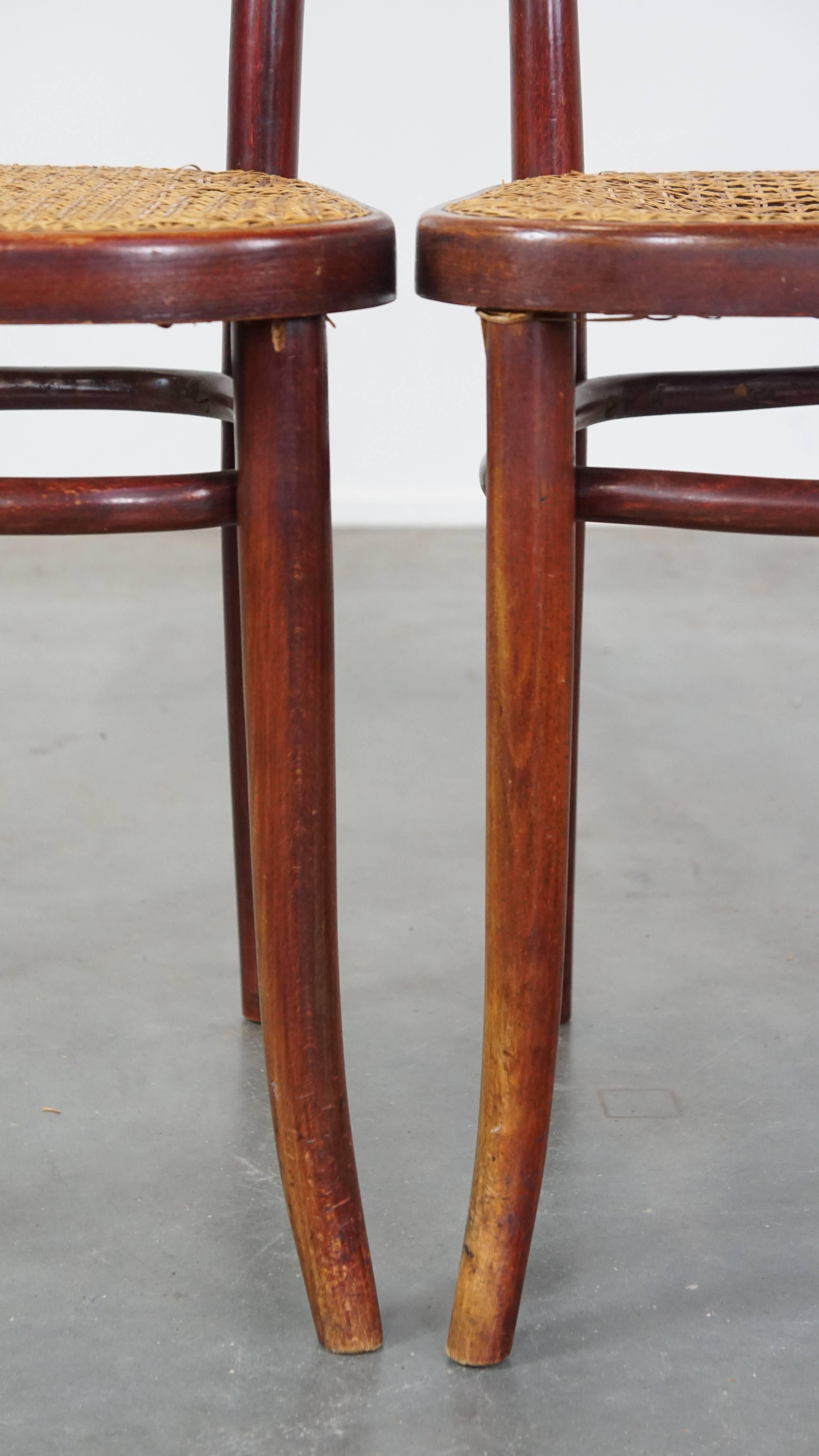 Satz von 2 originalen Vintage-Bistrostühlen im Thonet-Design mit matten Sitzen im Angebot 10