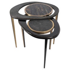 Set of 2 Peacock Nesting Tables in Shagreen Tiger Eye, and Brass by R&Y Augousti