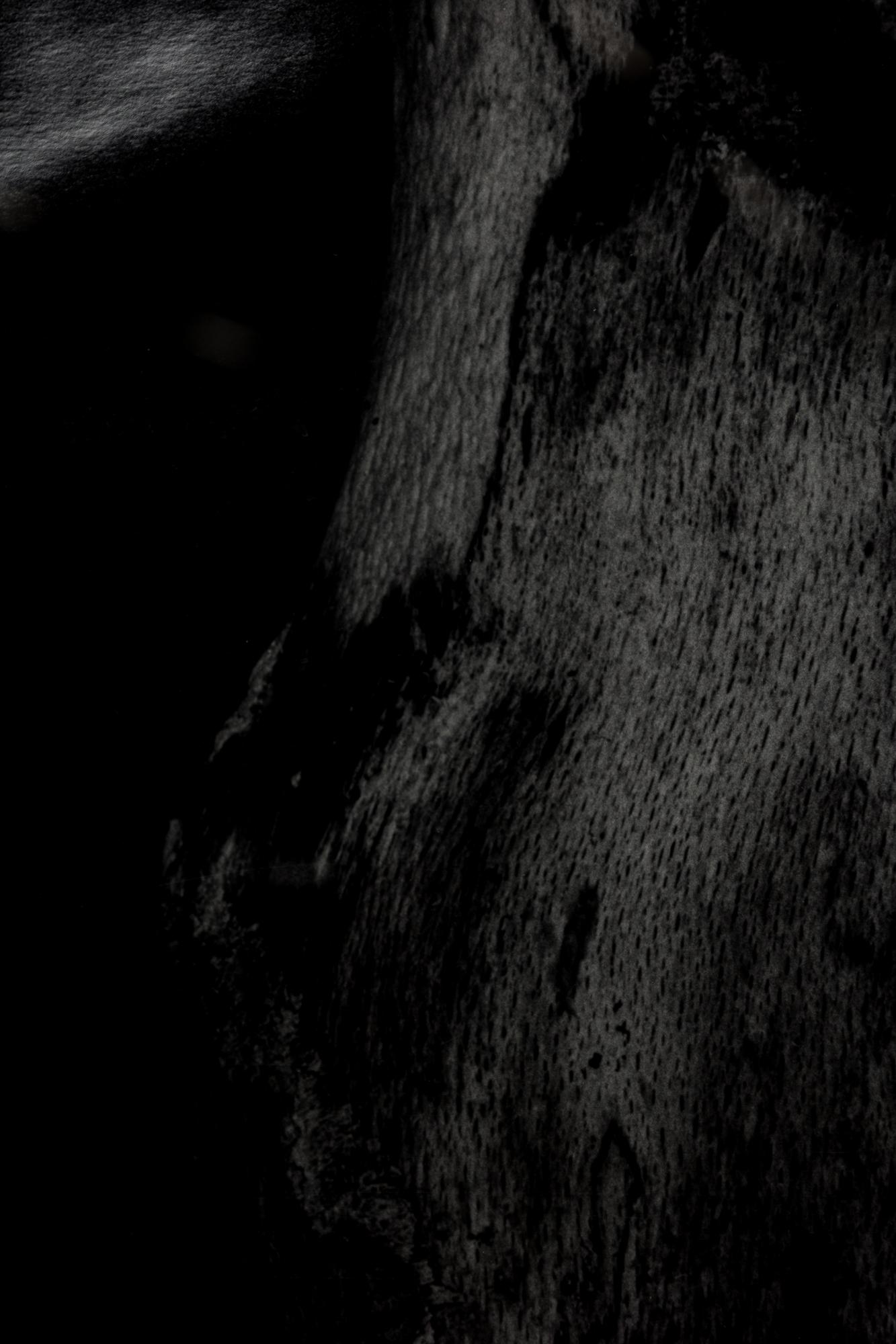 Ensemble de 2 photographies contemporaines américaines grand format de Peters Campus, 1988 en vente 3