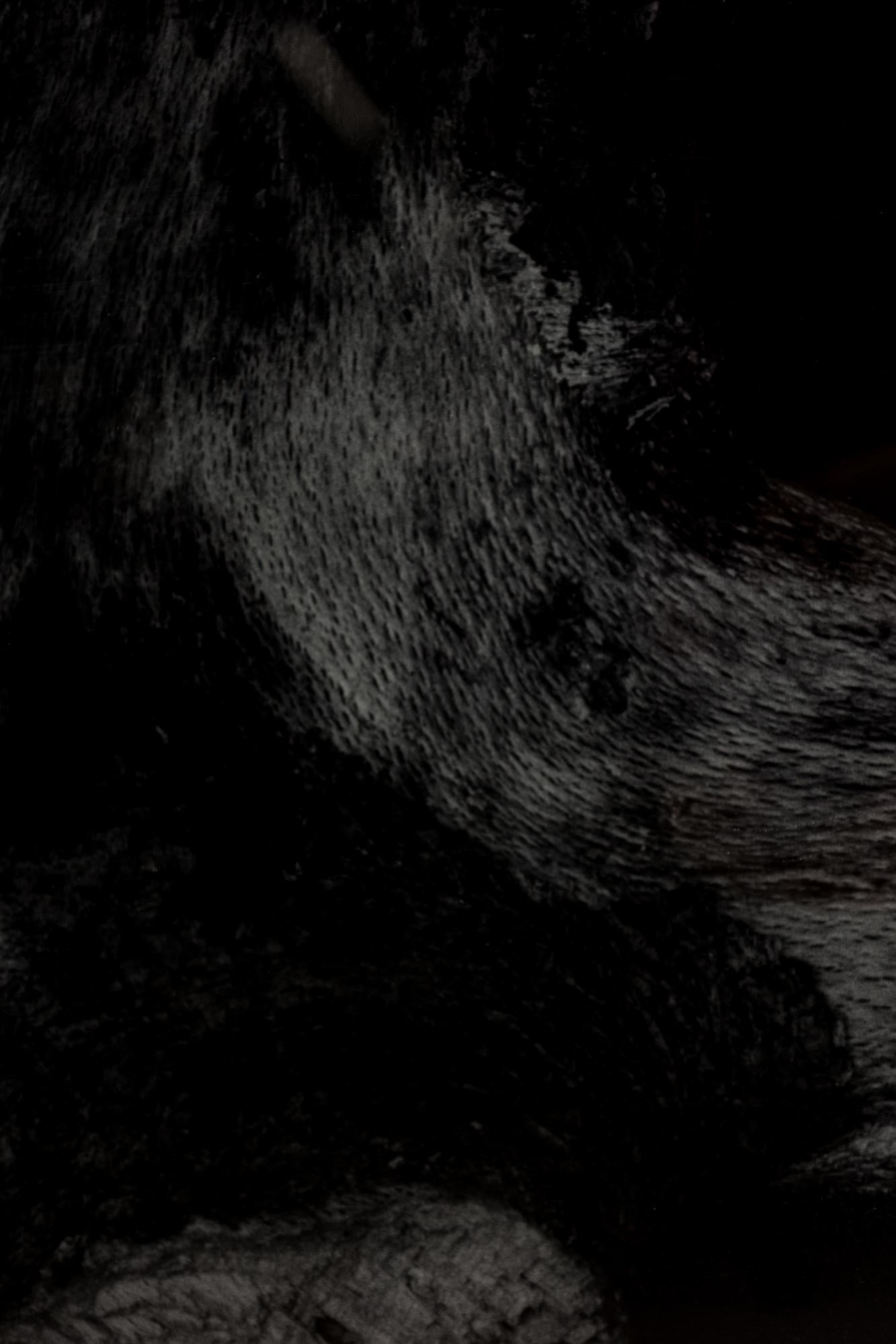 Ensemble de 2 photographies contemporaines américaines grand format de Peters Campus, 1988 en vente 4