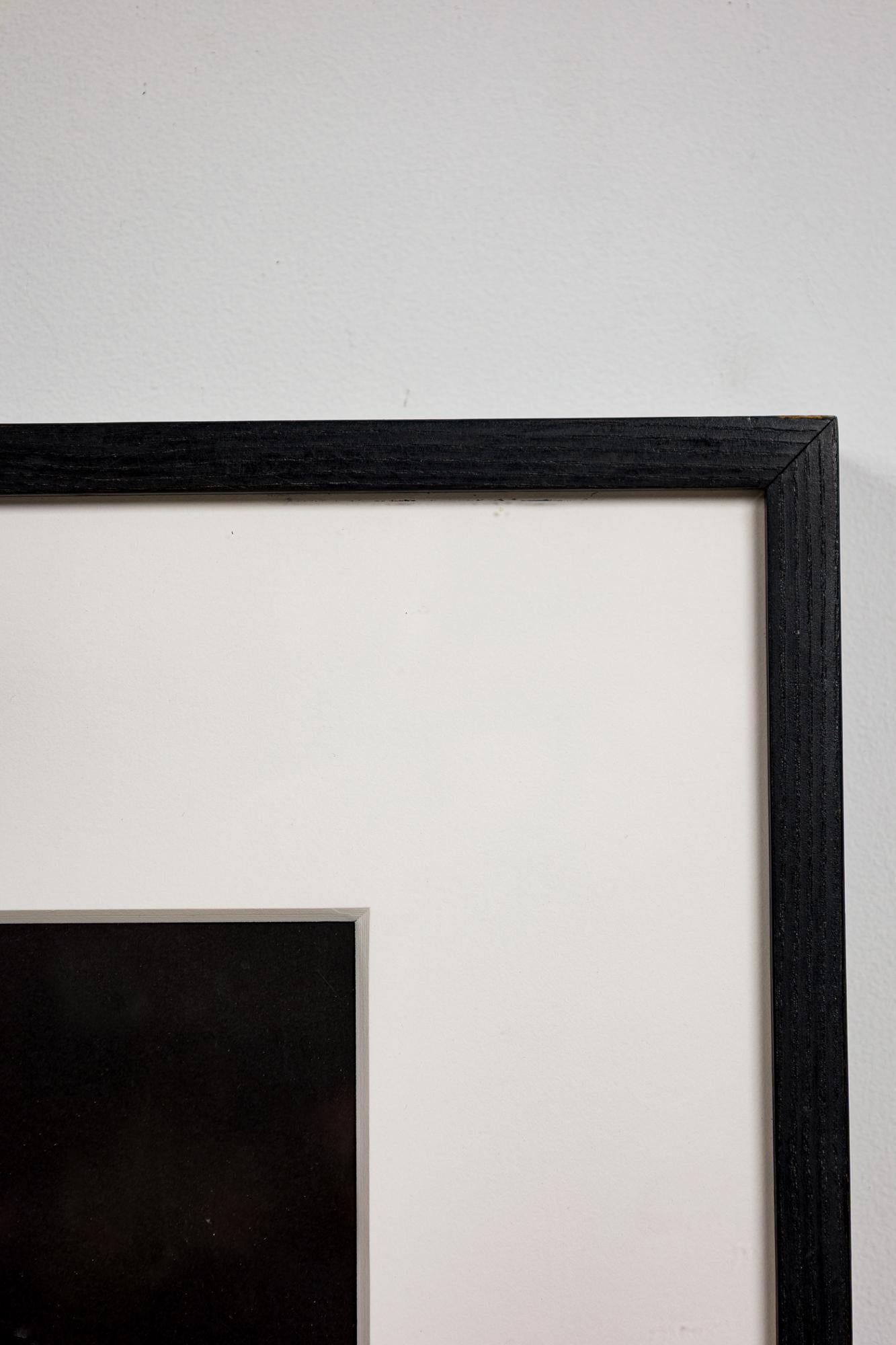 Ensemble de 2 photographies contemporaines américaines grand format de Peters Campus, 1988 en vente 6