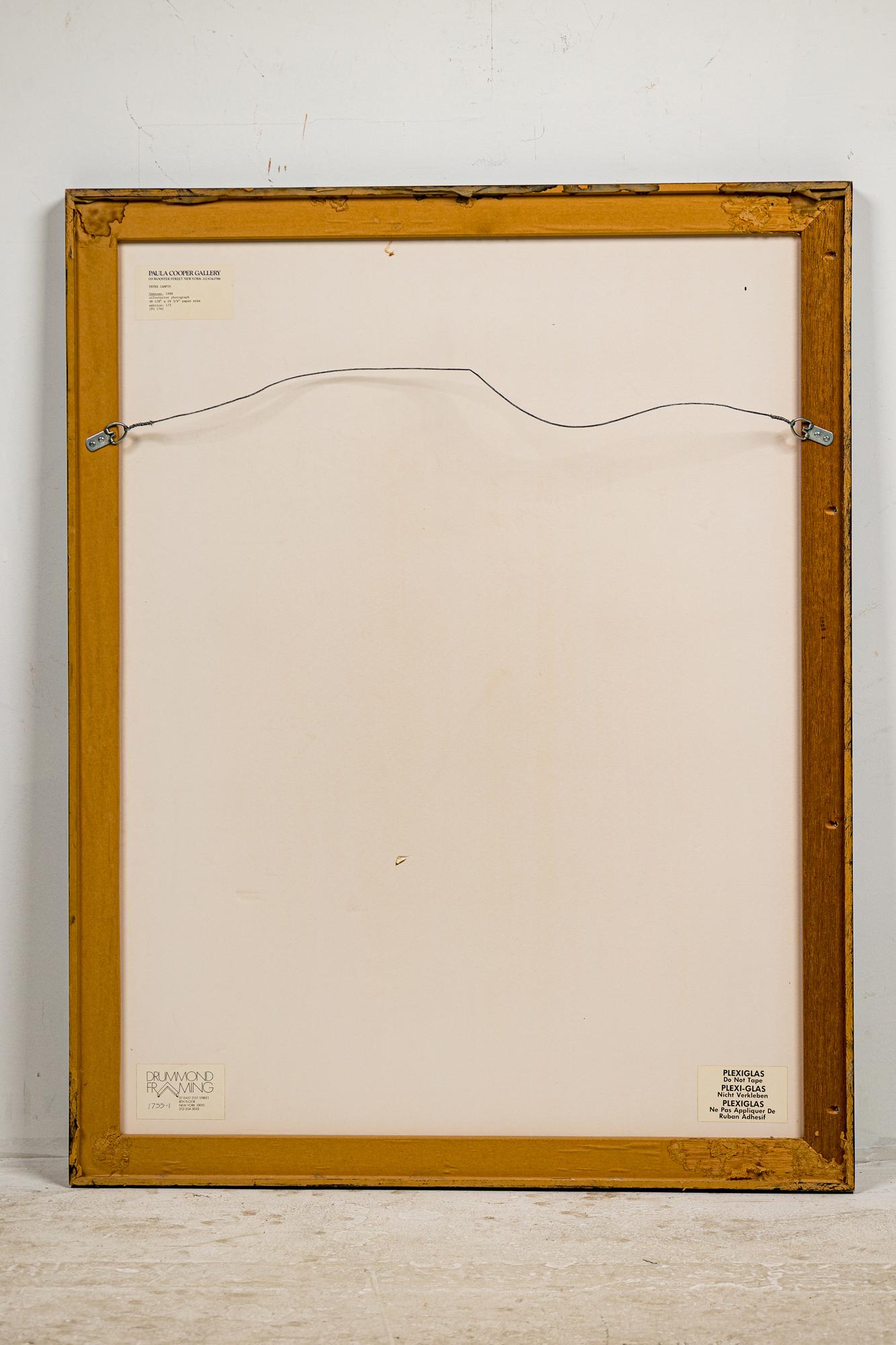 Ensemble de 2 photographies contemporaines américaines grand format de Peters Campus, 1988 en vente 8