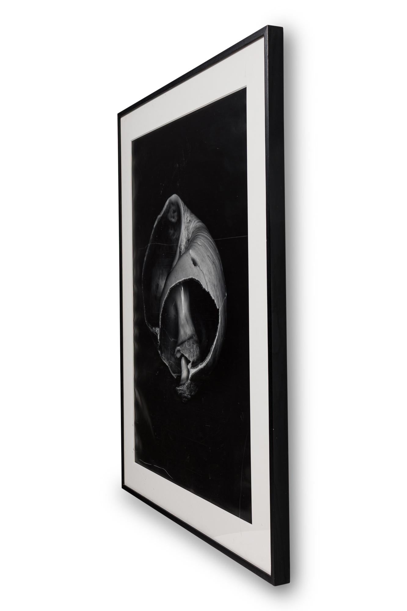 Moderne Ensemble de 2 photographies contemporaines américaines grand format de Peters Campus, 1988 en vente