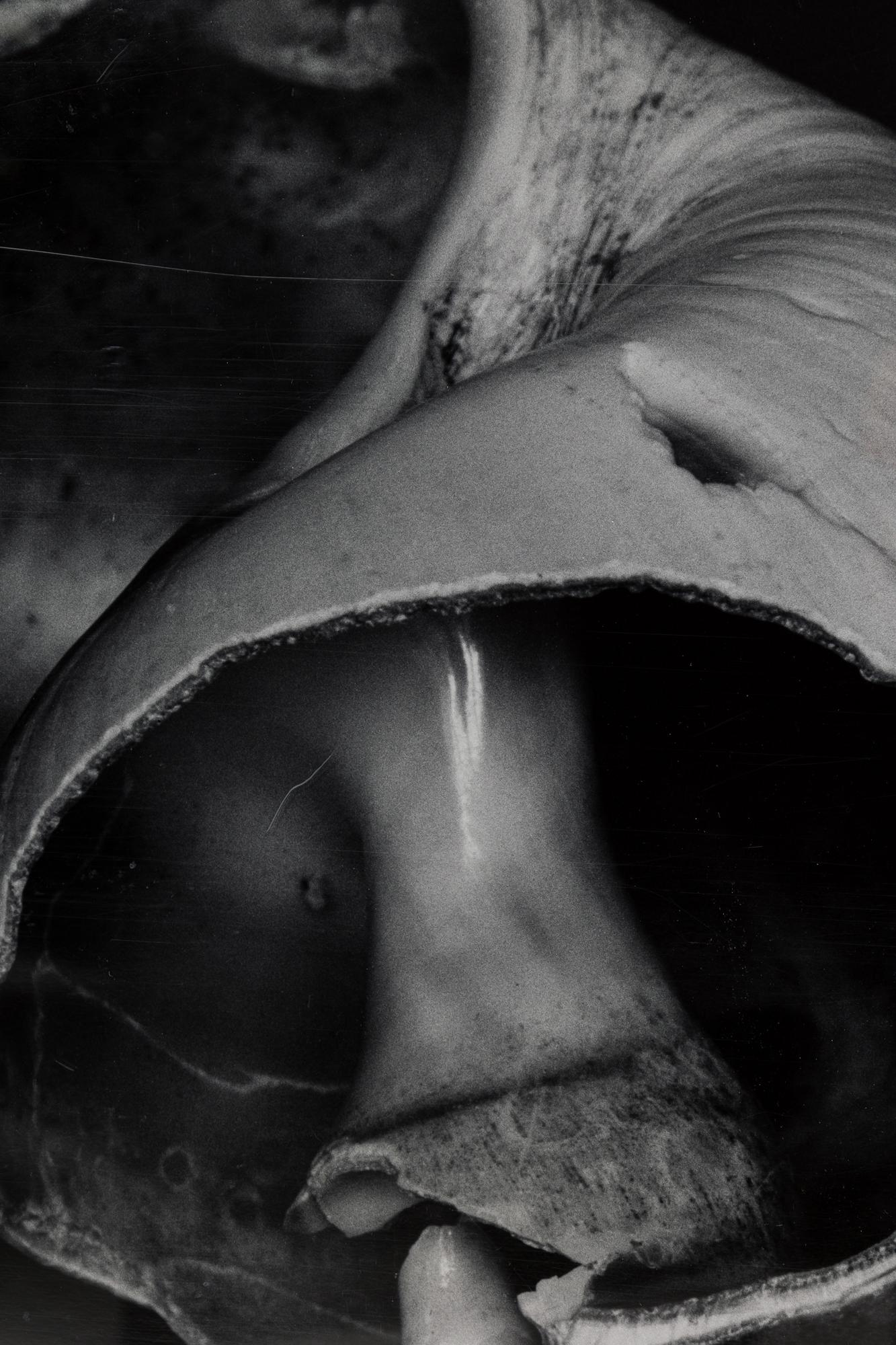 Ensemble de 2 photographies contemporaines américaines grand format de Peters Campus, 1988 Bon état - En vente à Queens, NY