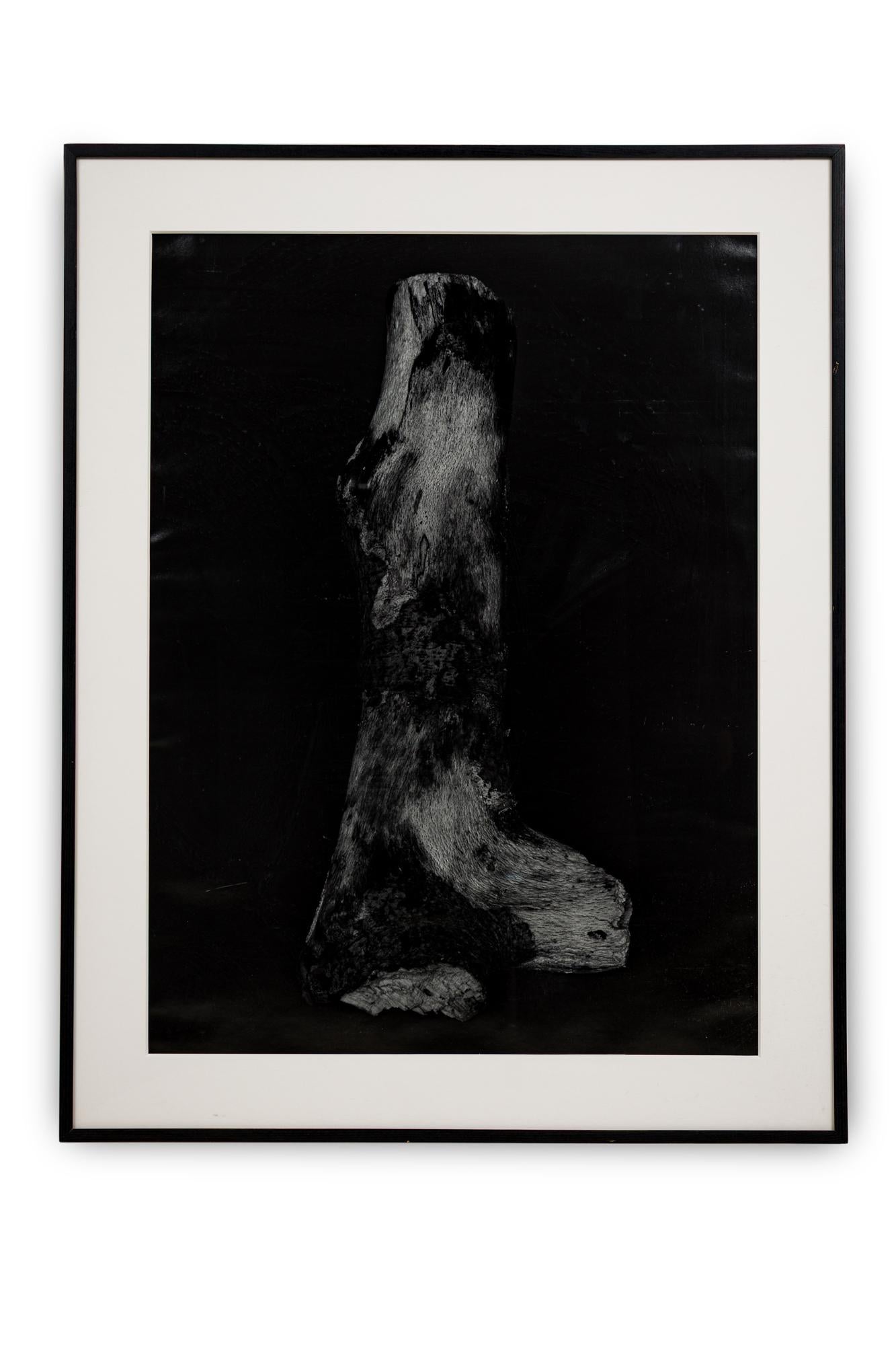 Ensemble de 2 photographies contemporaines américaines grand format de Peters Campus, 1988 en vente 1