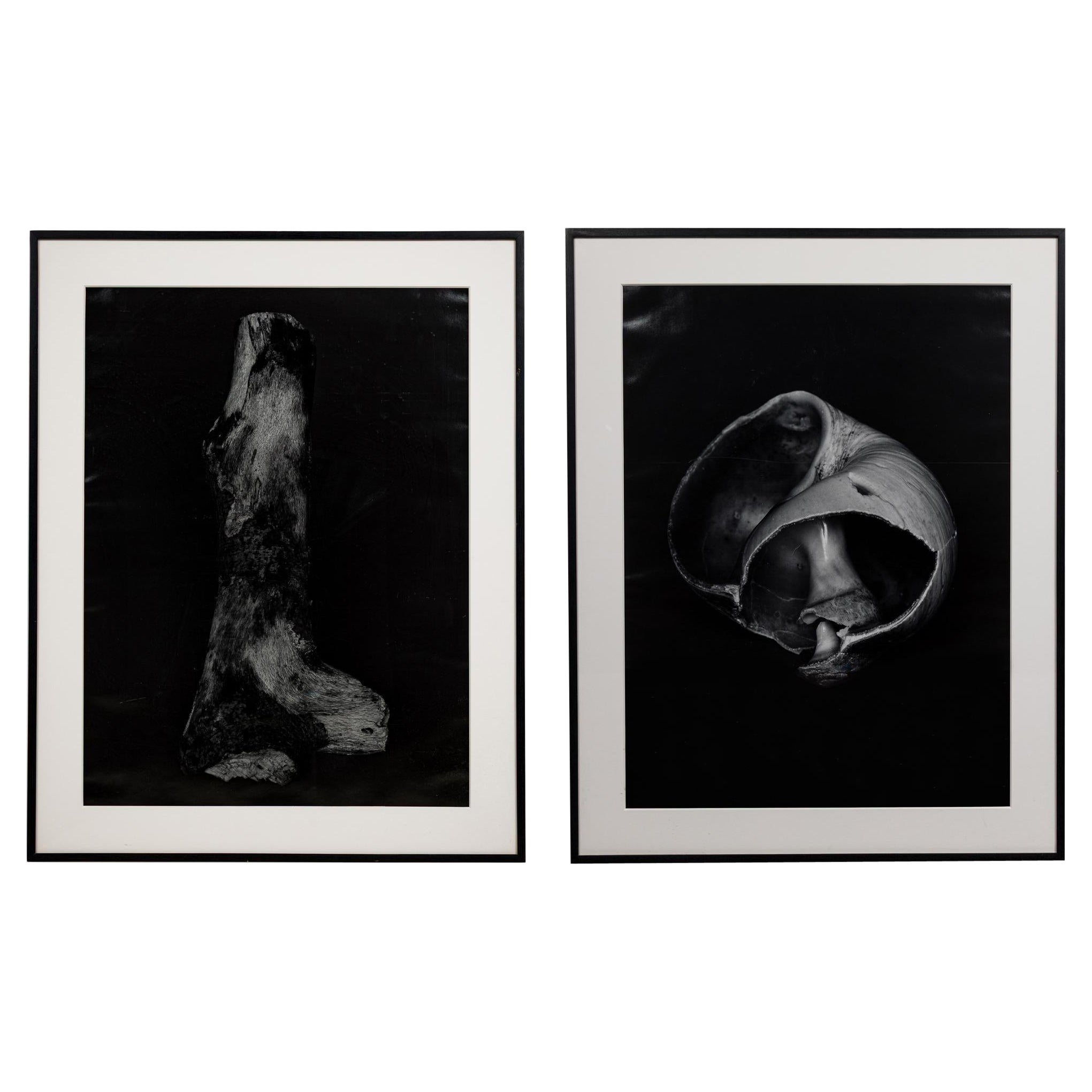 Set of 2 Peter Campus American Contemporary Large Format Photographs, 1988