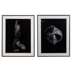 Set of 2 Peter Campus American Contemporary Large Format Photographs, 1988