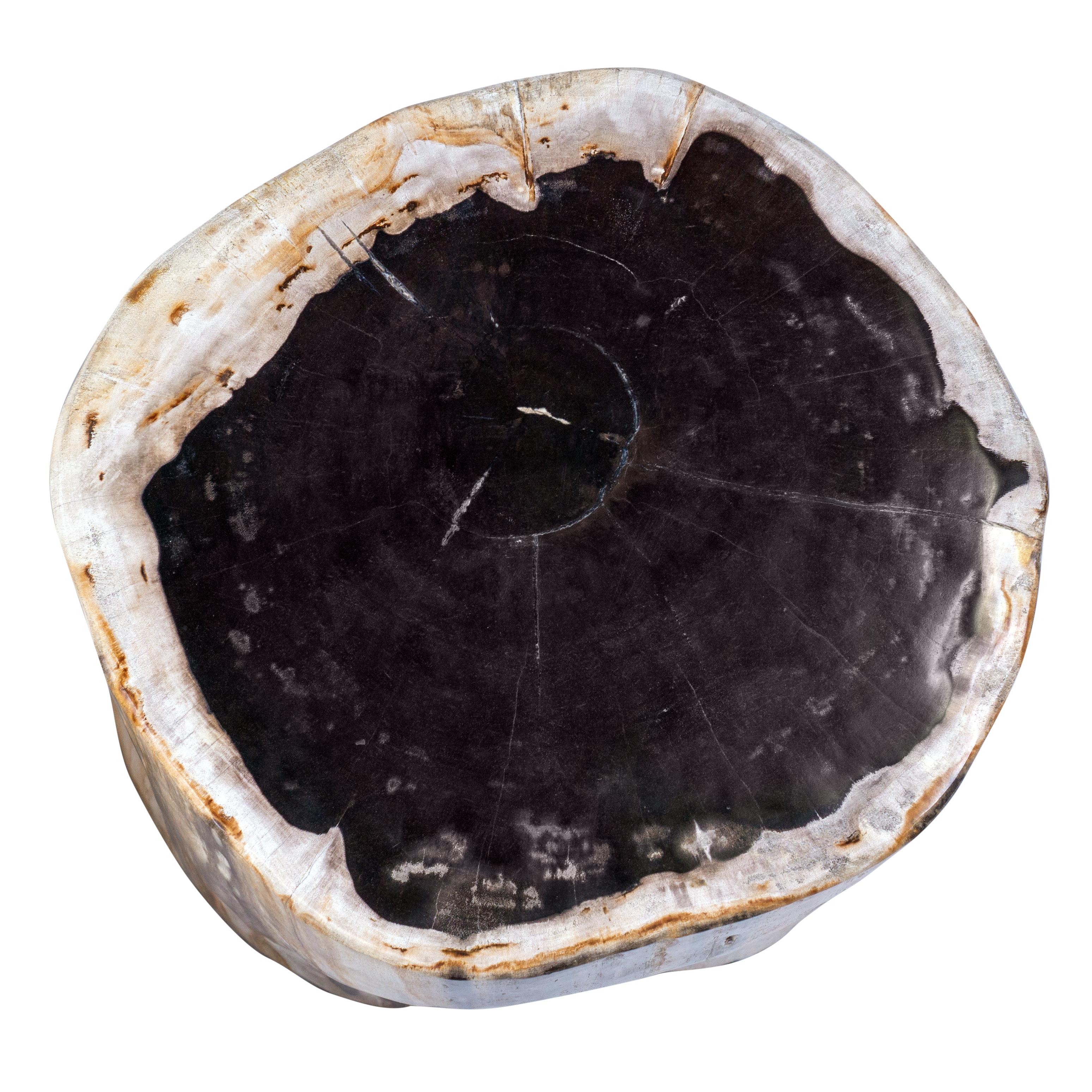 Set of 2 Petrified Wood End Tables 3