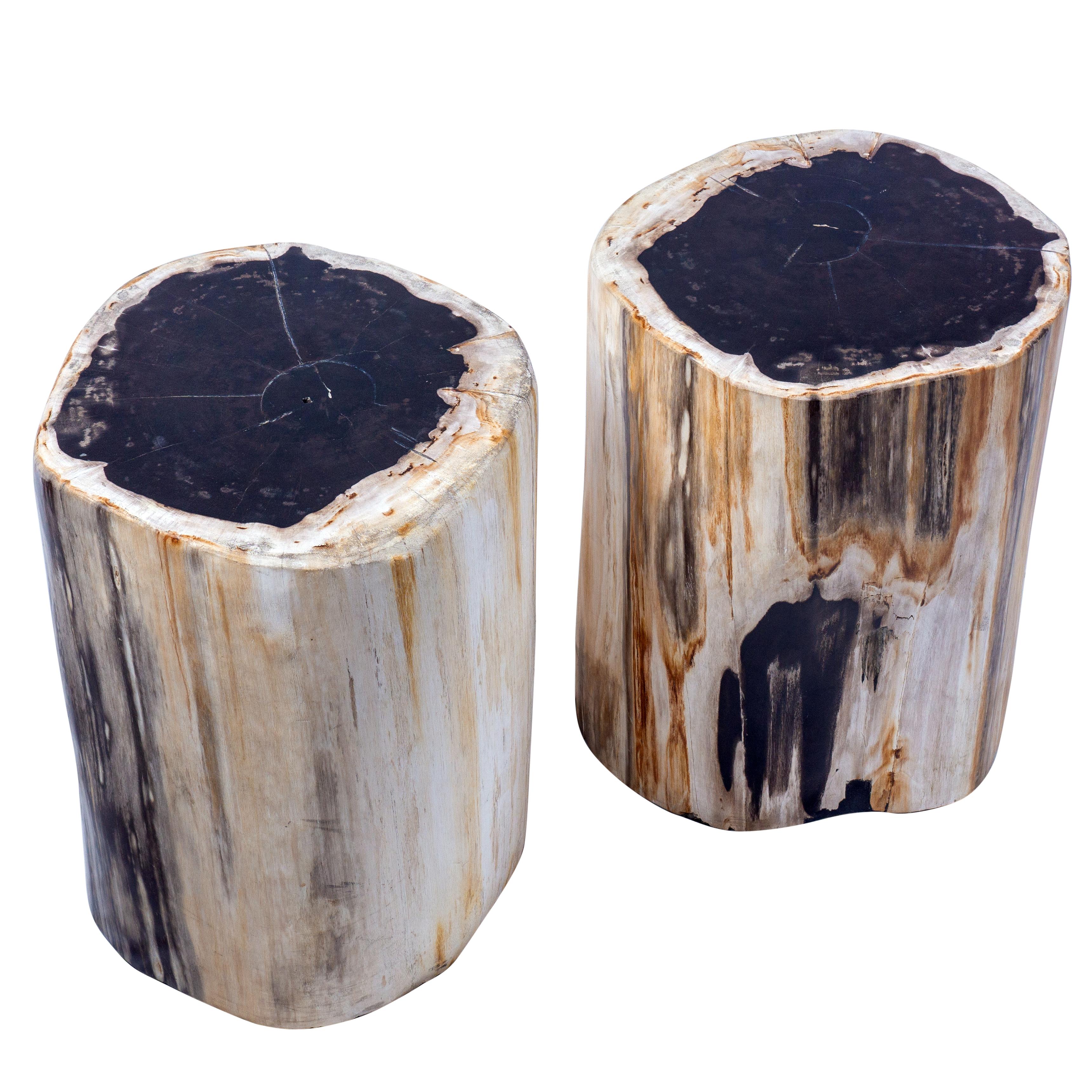 Set of 2 Petrified Wood End Tables 4