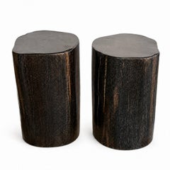 Set of 2 - Petrified Wood End Tables
