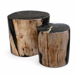 2er-Set – Beistelltische aus versteinertem Holz