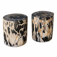 Set of 2 - Petrified Wood End Tables