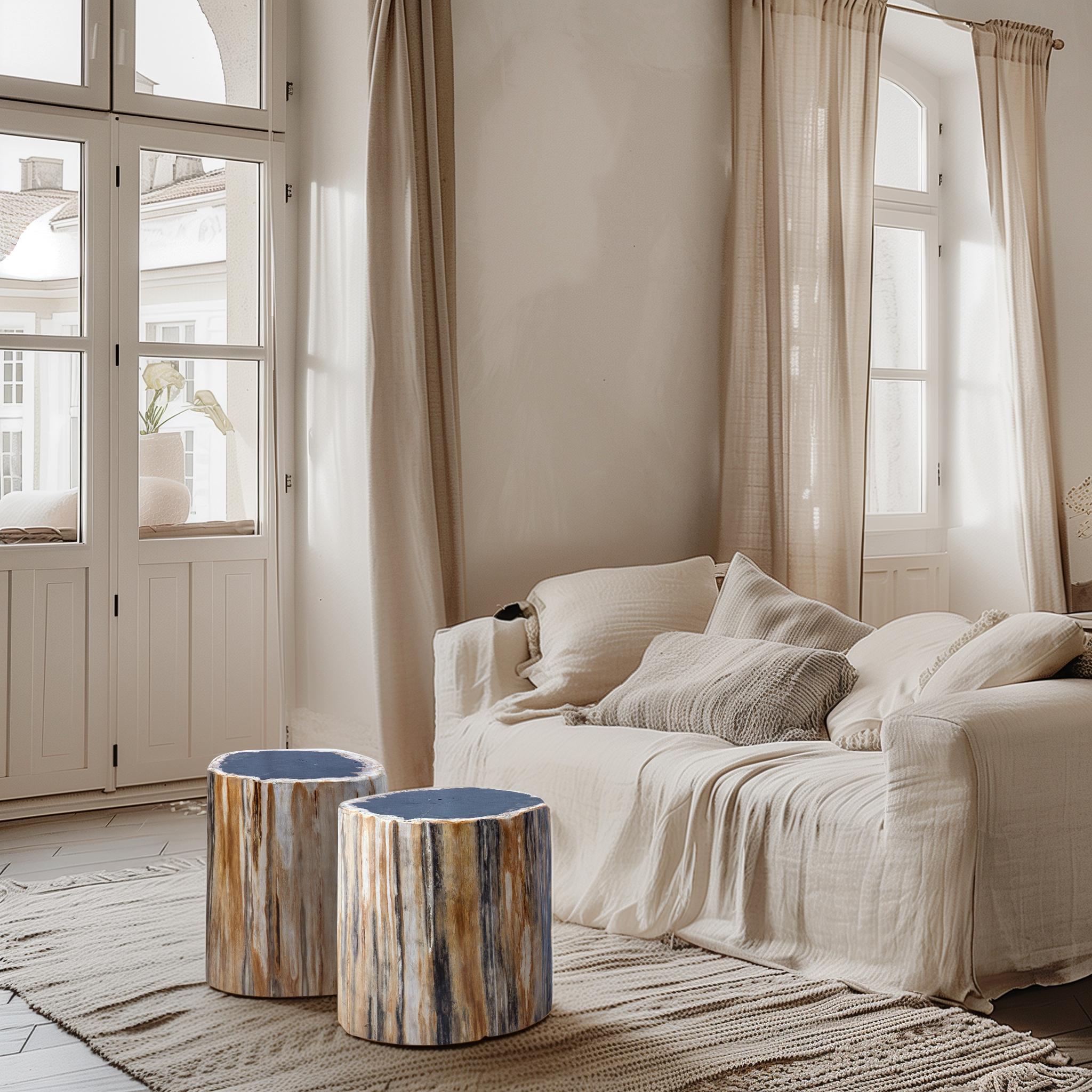 This matching pair of petrified wood end tables showcases the natural beauty of fossilized wood, offering a unique blend of organic textures and rich, earthy tones. Each table features a smooth, polished top surface that reveals intricate grain