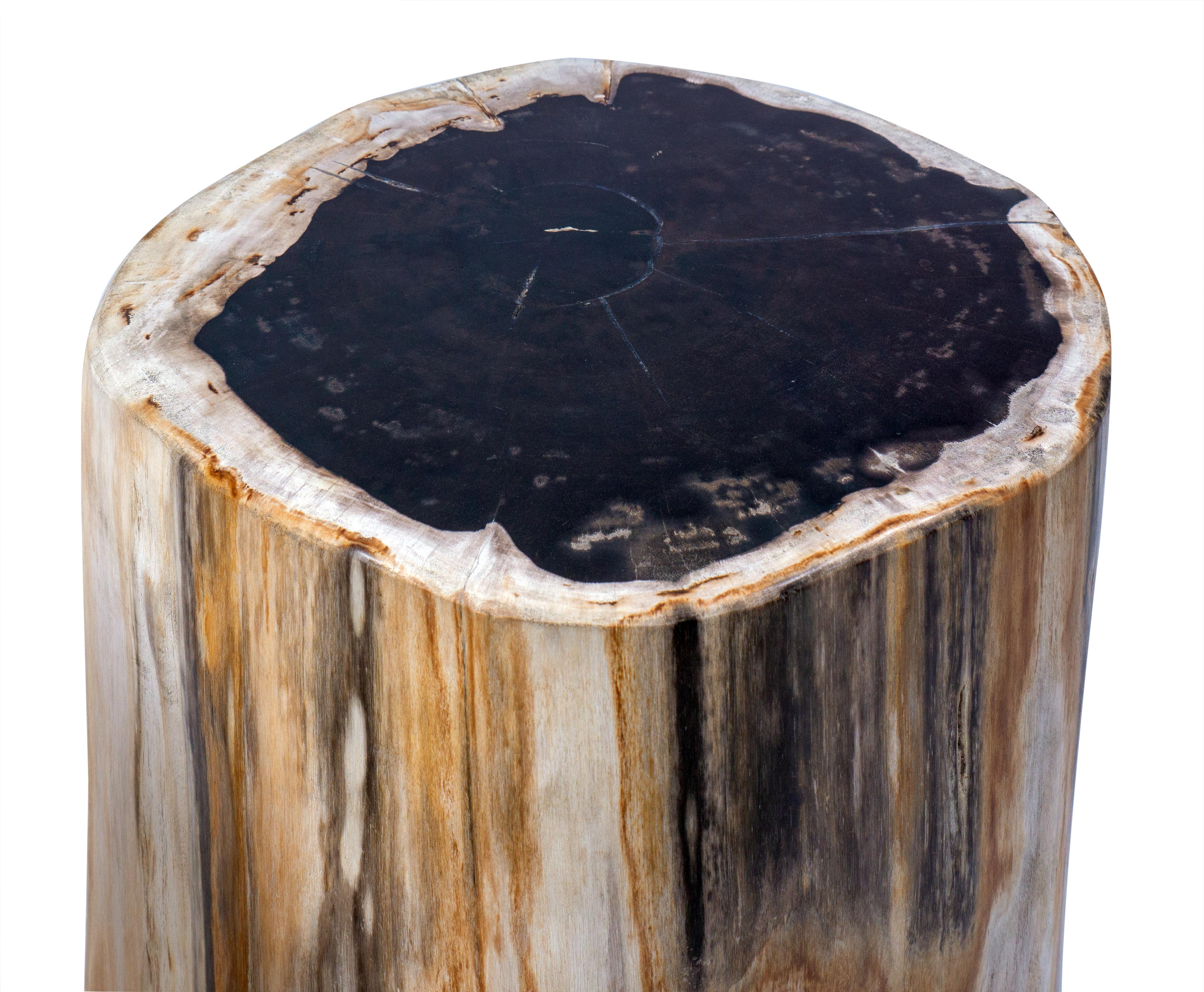 Organic Modern Set of 2 Petrified Wood End Tables