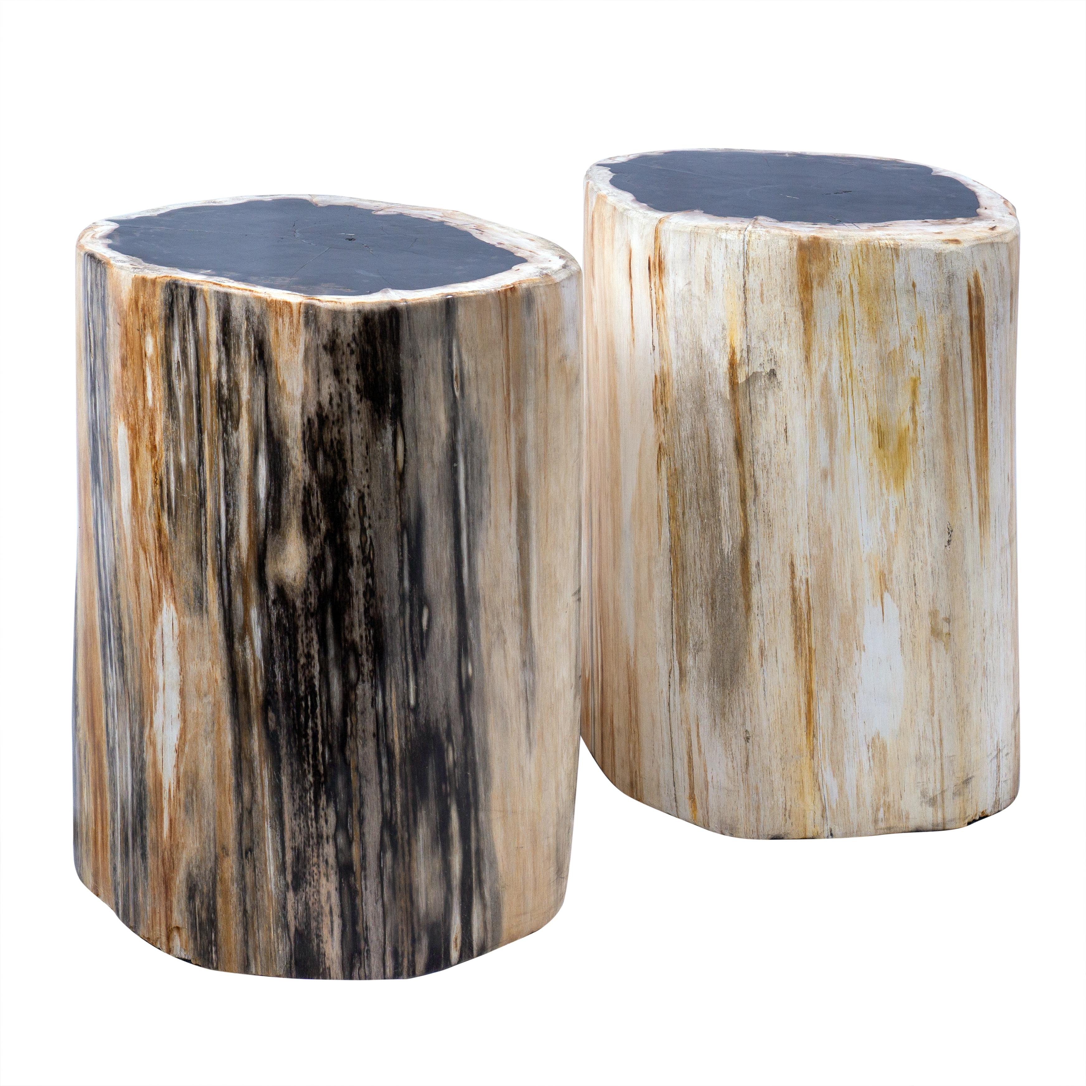 Indonesian Set of 2 Petrified Wood End Tables