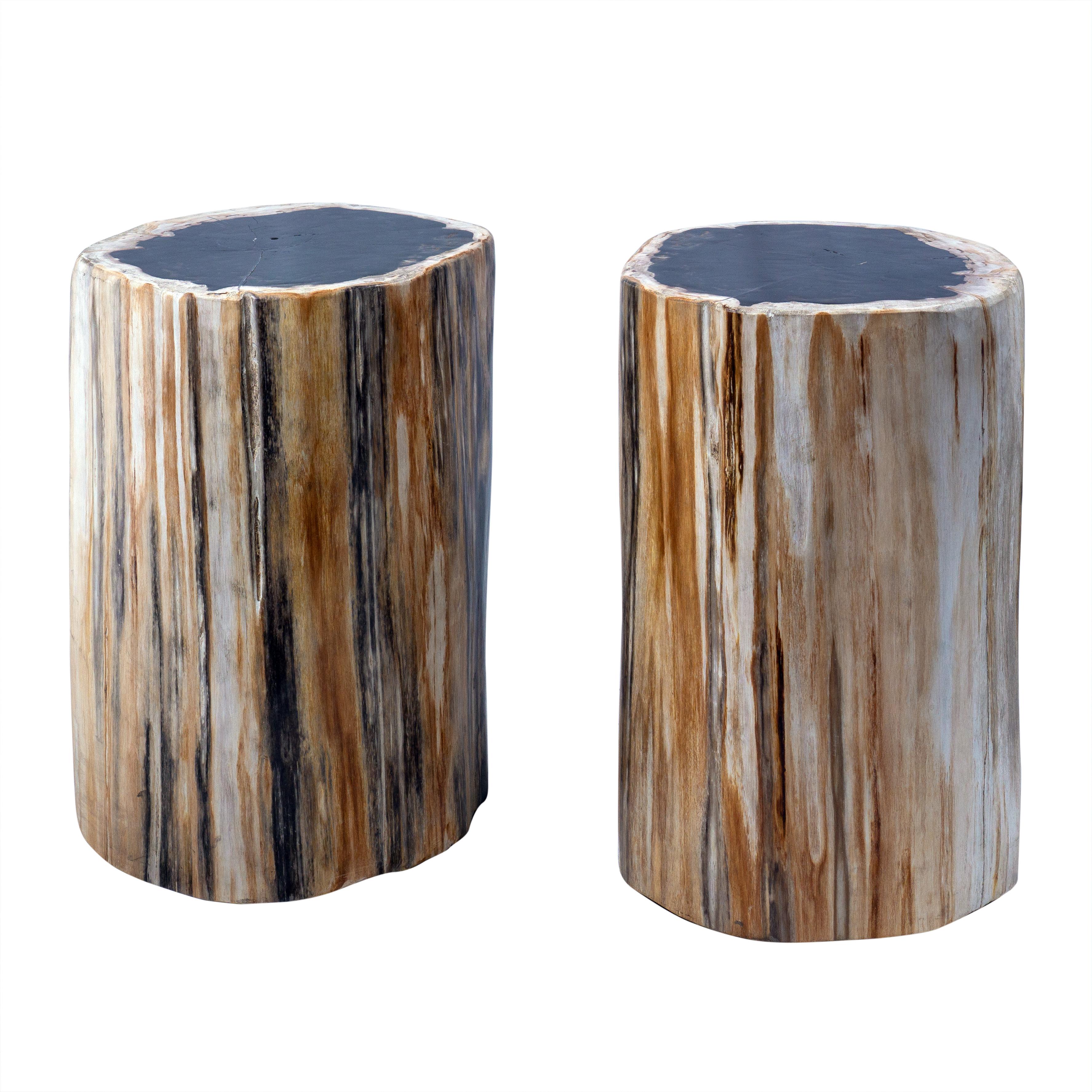 Polished Set of 2 Petrified Wood End Tables