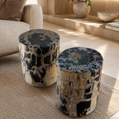 Petrified Wood End Tables Set of 2, Organic Modern Design, Indonesia