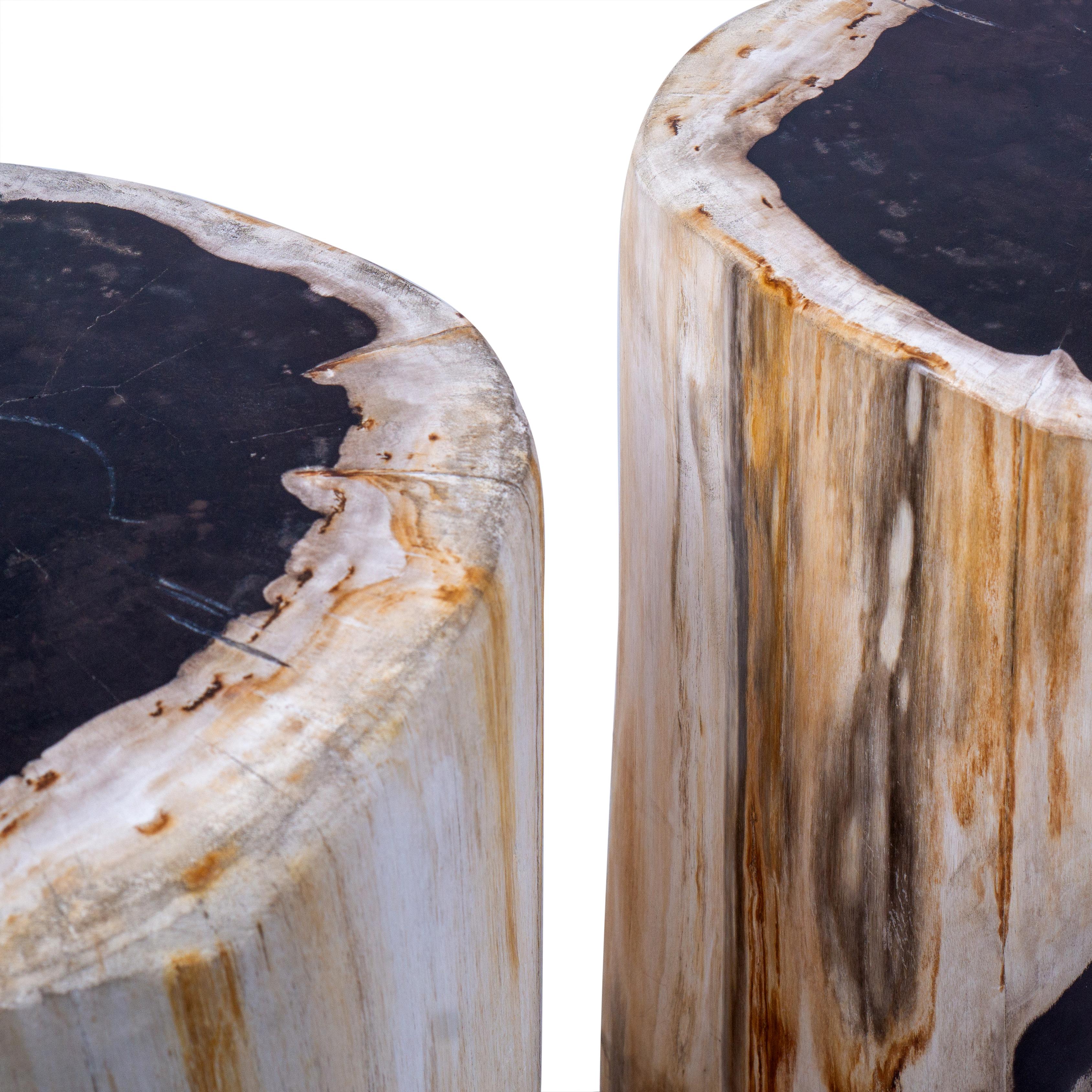 Contemporary Set of 2 Petrified Wood End Tables
