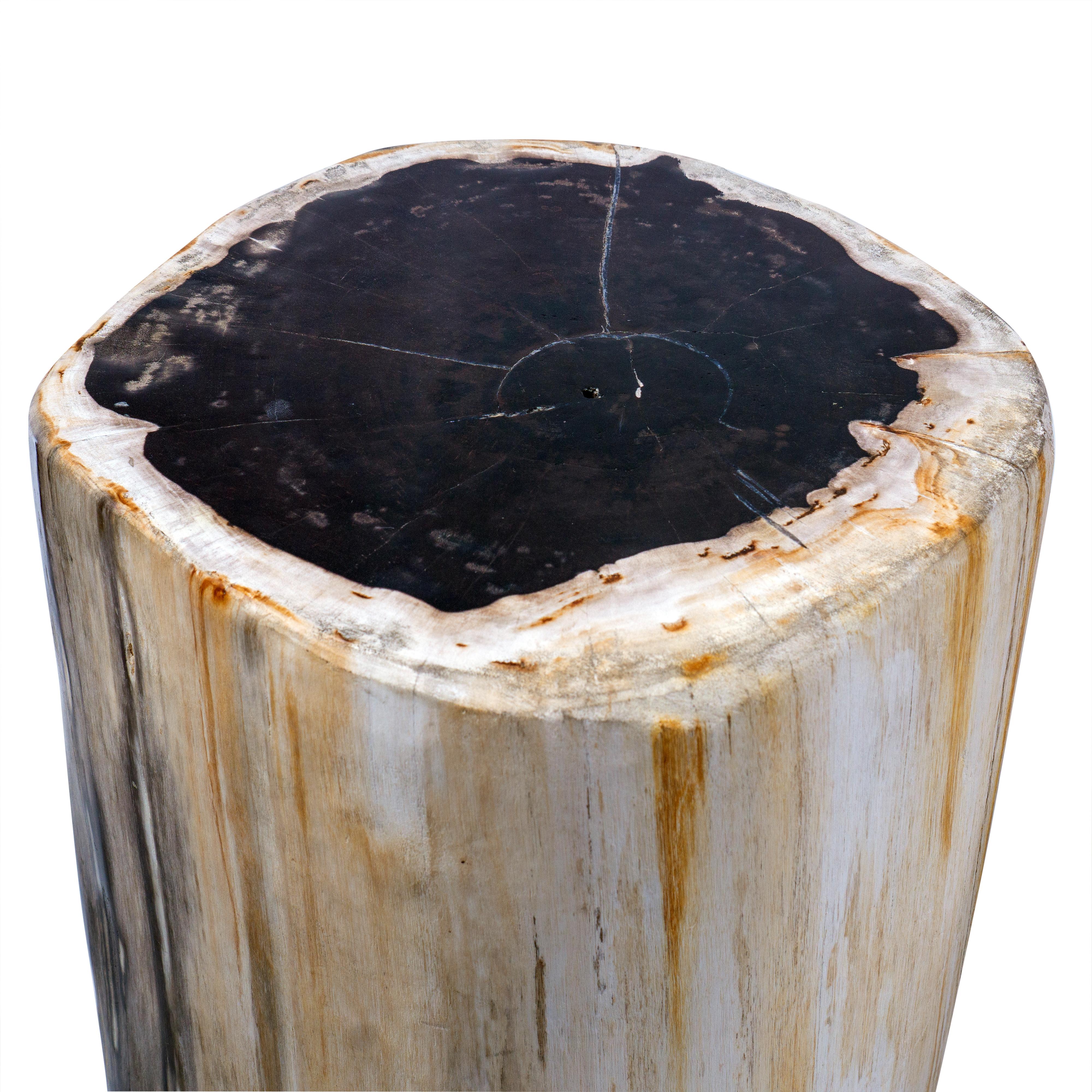 Set of 2 Petrified Wood End Tables 1
