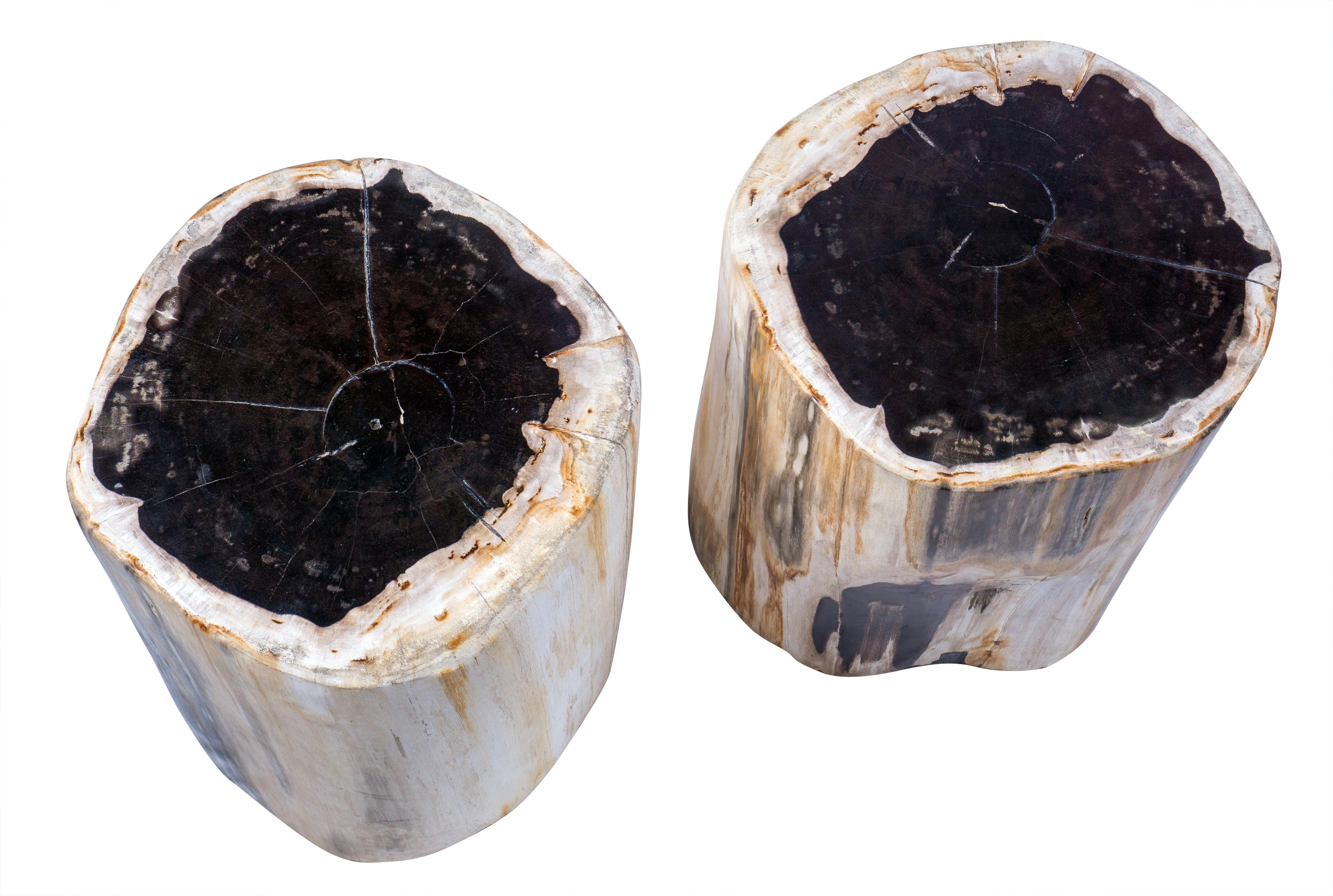 Set of 2 Petrified Wood End Tables 2