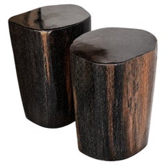 Set of 2 - Petrified Wood End Tables