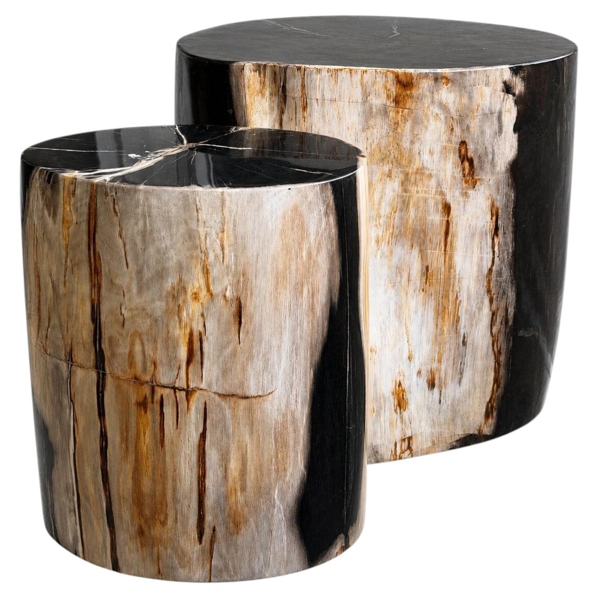 Petrified Wood End Tables Set of 2, Organic Modern Design, Indonesia