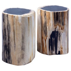 Set of 2 Petrified Wood End Tables