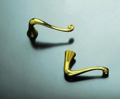 Set of 2 Polished Solid Brass Batlló Door Handle by Antoni Gaudi
