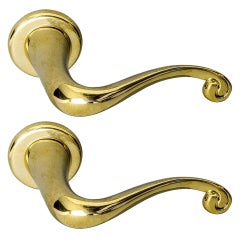 Set of 2 Polished Solid Brass Batlló Door Handle by Antoni Gaudi