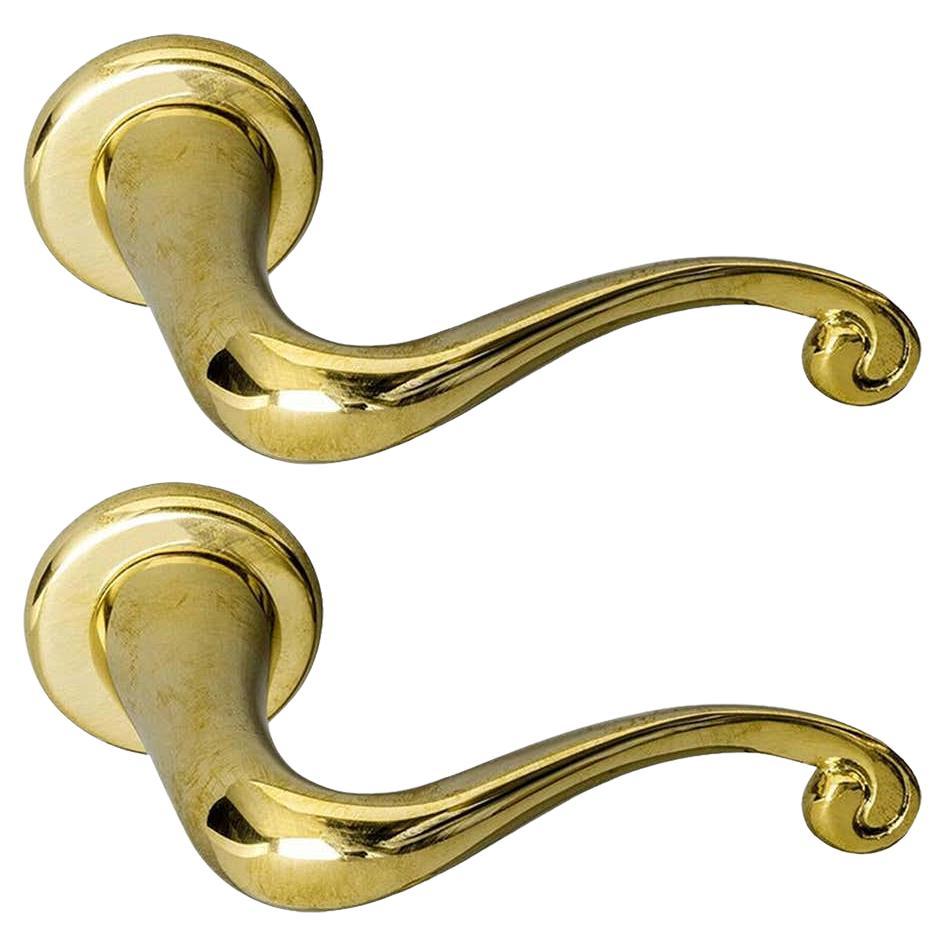 Set of 2 Polished Solid Brass Batlló Door Handle by Antoni Gaudi For Sale