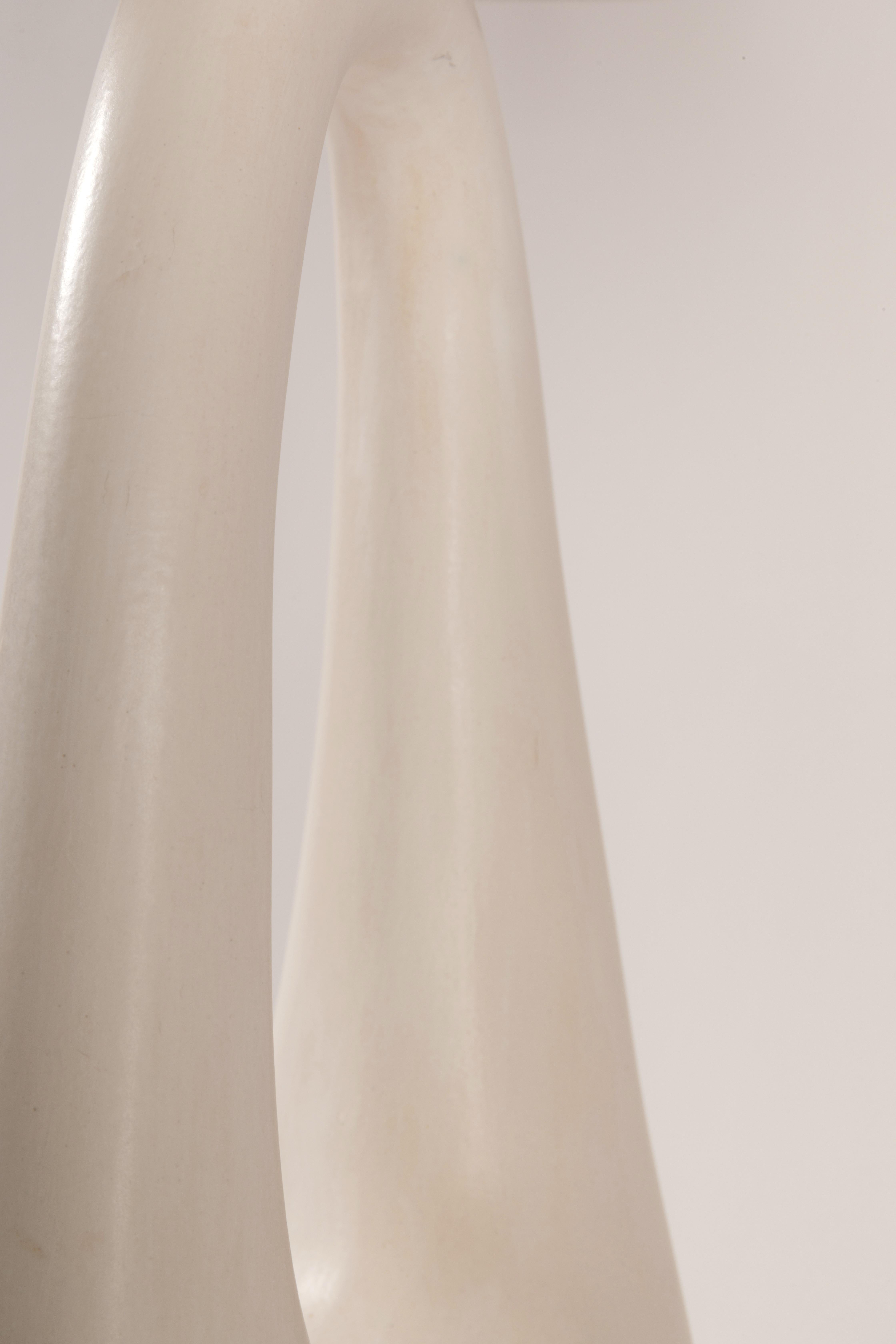 Set of 2 Ring Table Lamps by Elsa Foulon 1