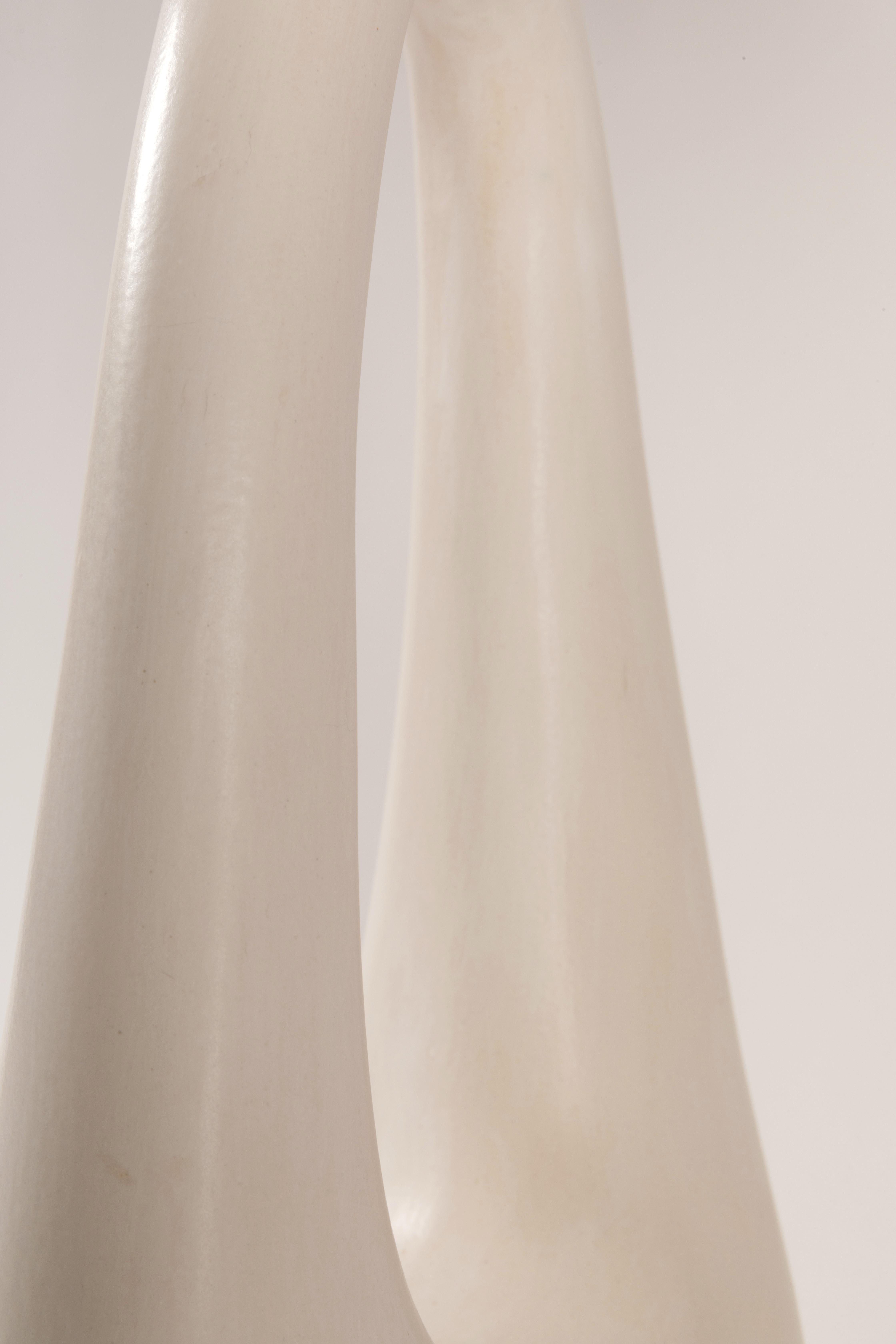 Set of 2 Ring Table Lamps by Elsa Foulon 2