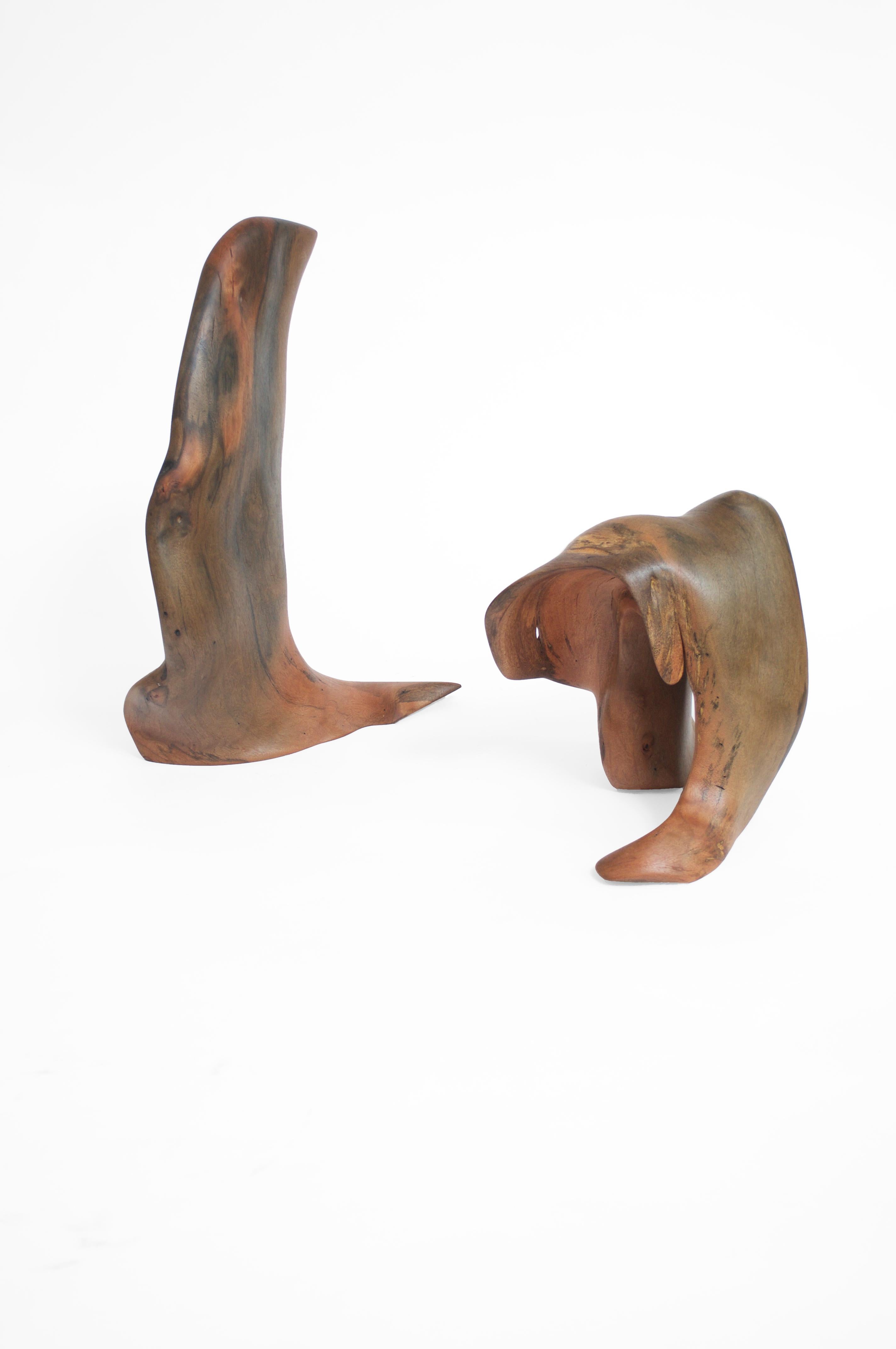 Set Of 2 S1346 Decorative Objects in Tropical Driftwood by Jörg Pietschmann For Sale 2